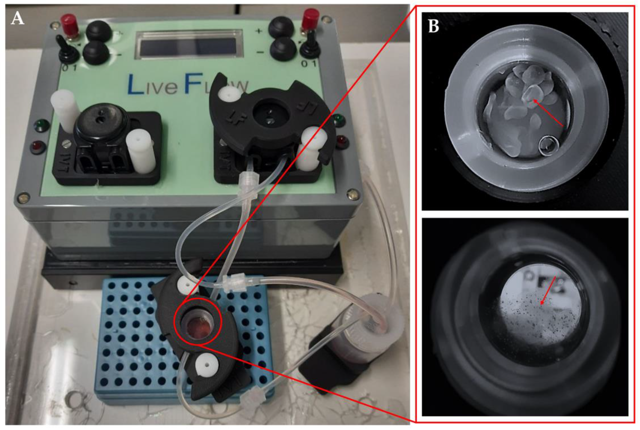 Biomedicines 11 02114 g001