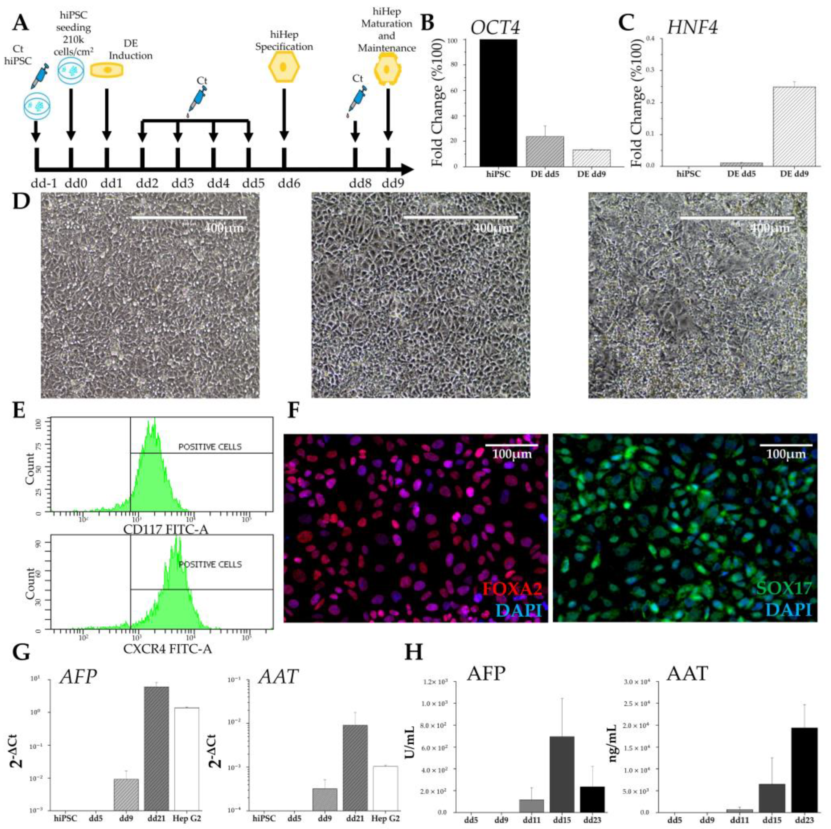Biomedicines 11 02114 g003