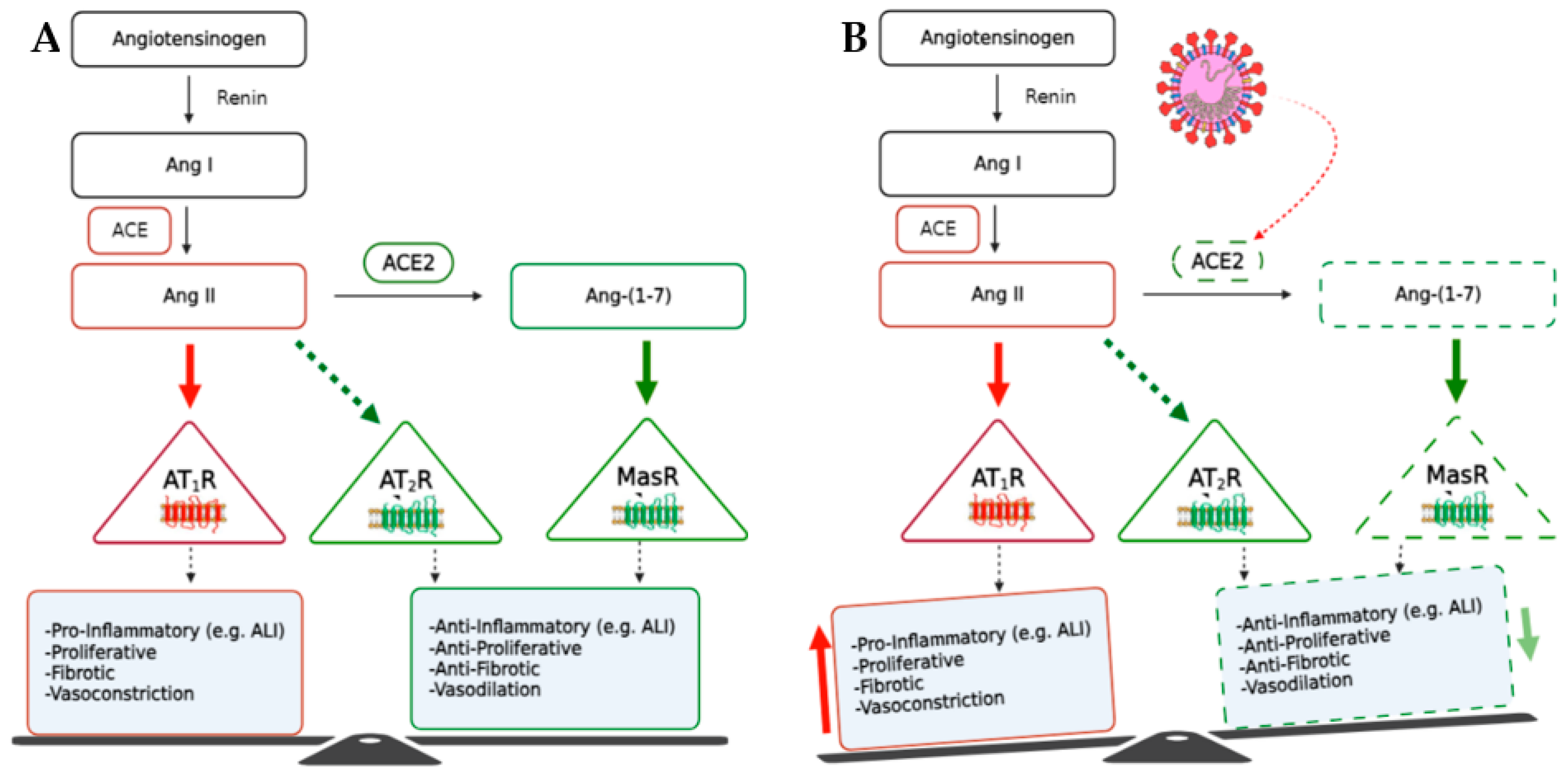 Biomedicines 11 02118 g001