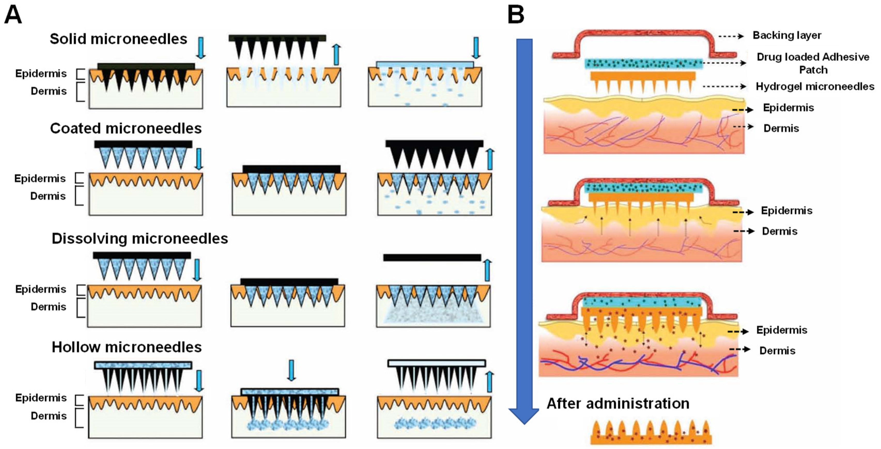 Biomedicines 11 02119 g001