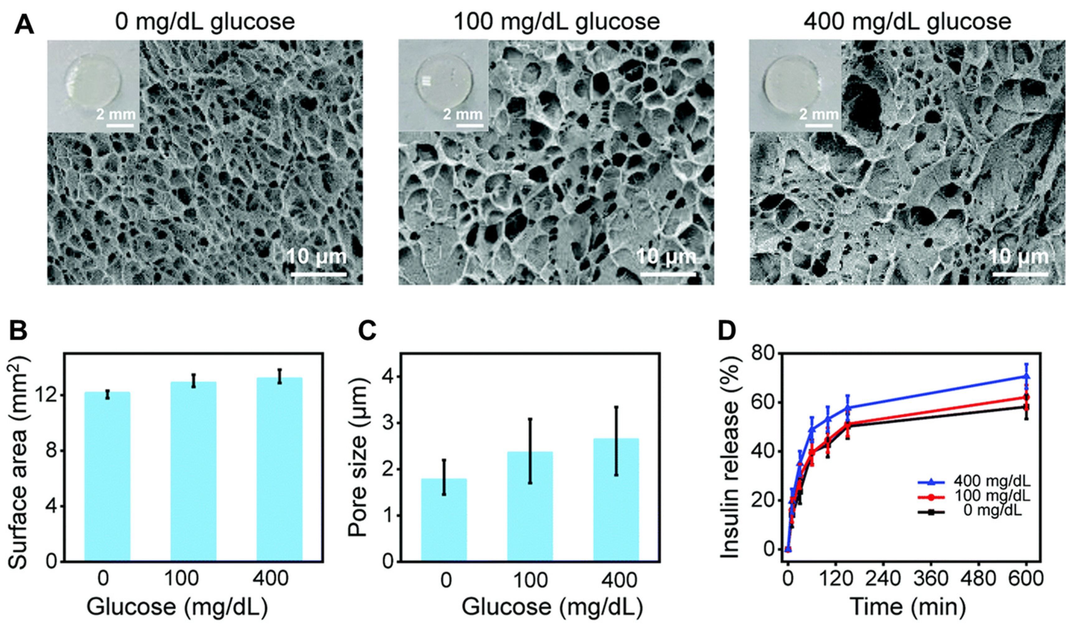 Biomedicines 11 02119 g003