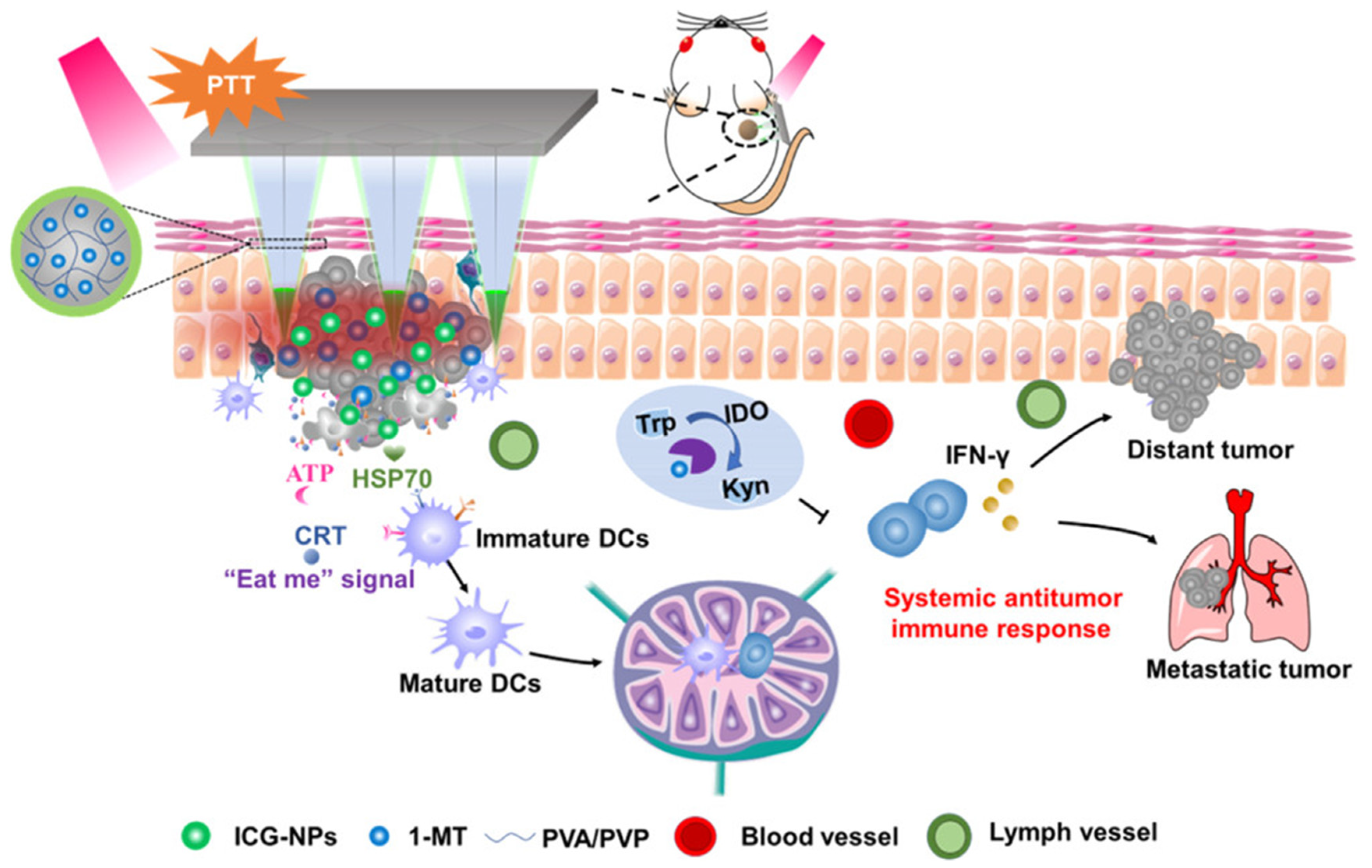Biomedicines 11 02119 g004