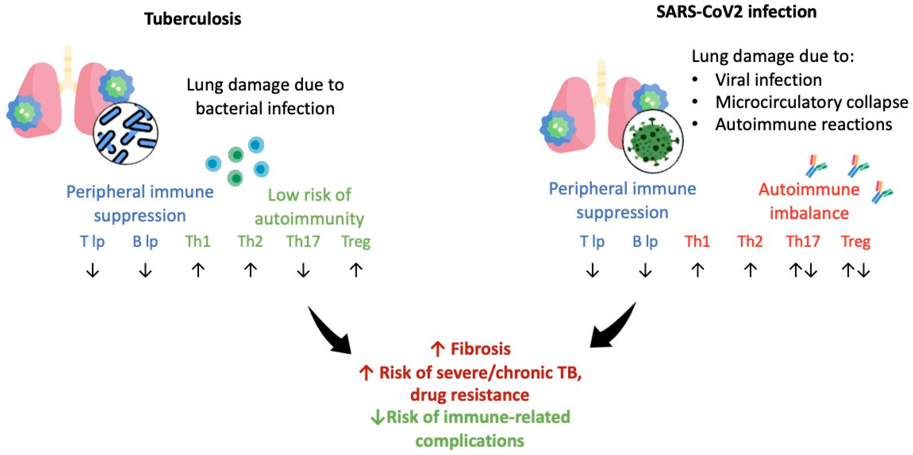 Biomedicines 11 02123 g002 Biomedicines 11 02123 g002