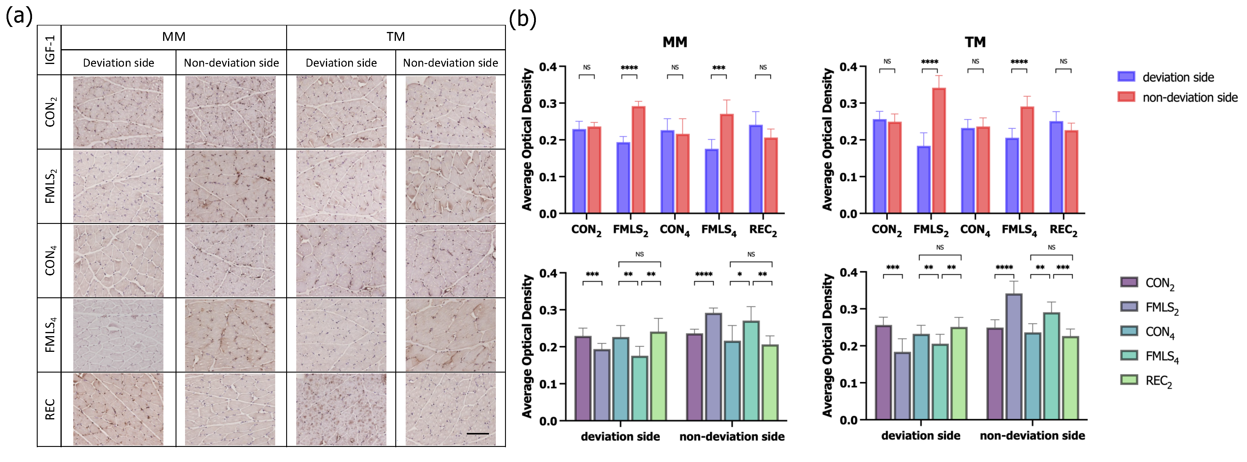 Biomedicines 11 02126 g005 Biomedicines 11 02126 g005