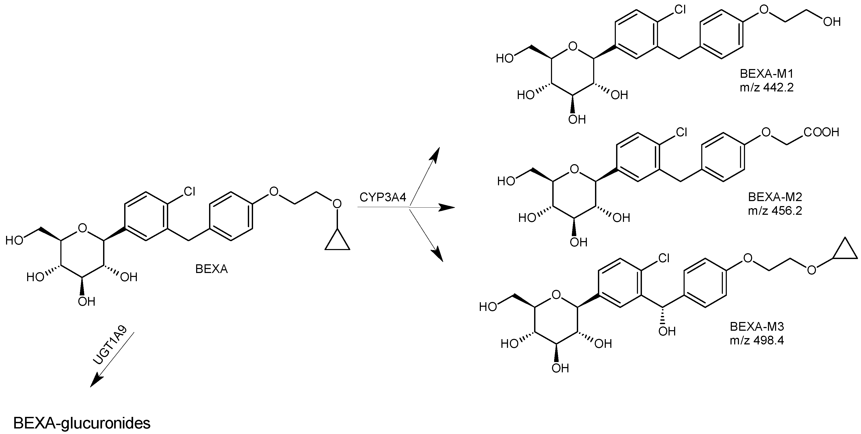 Biomedicines 11 02127 g003 Biomedicines 11 02127 g003
