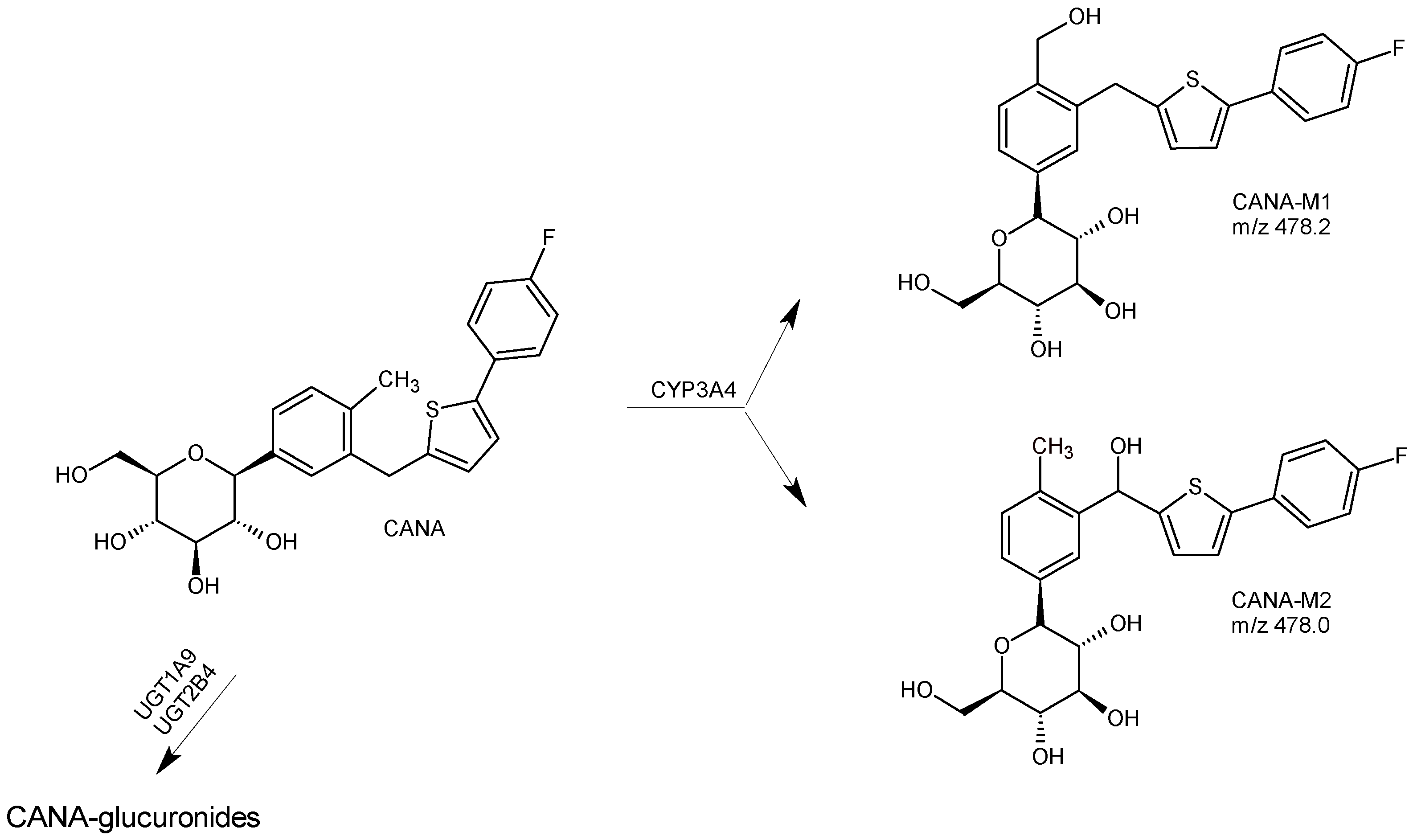 Biomedicines 11 02127 g004 Biomedicines 11 02127 g004