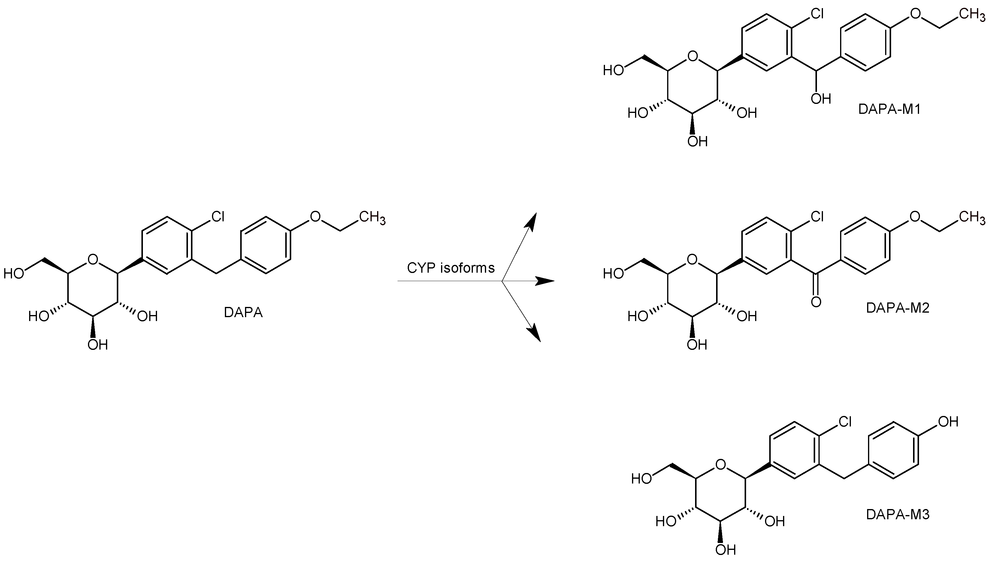 Biomedicines 11 02127 g005 Biomedicines 11 02127 g005