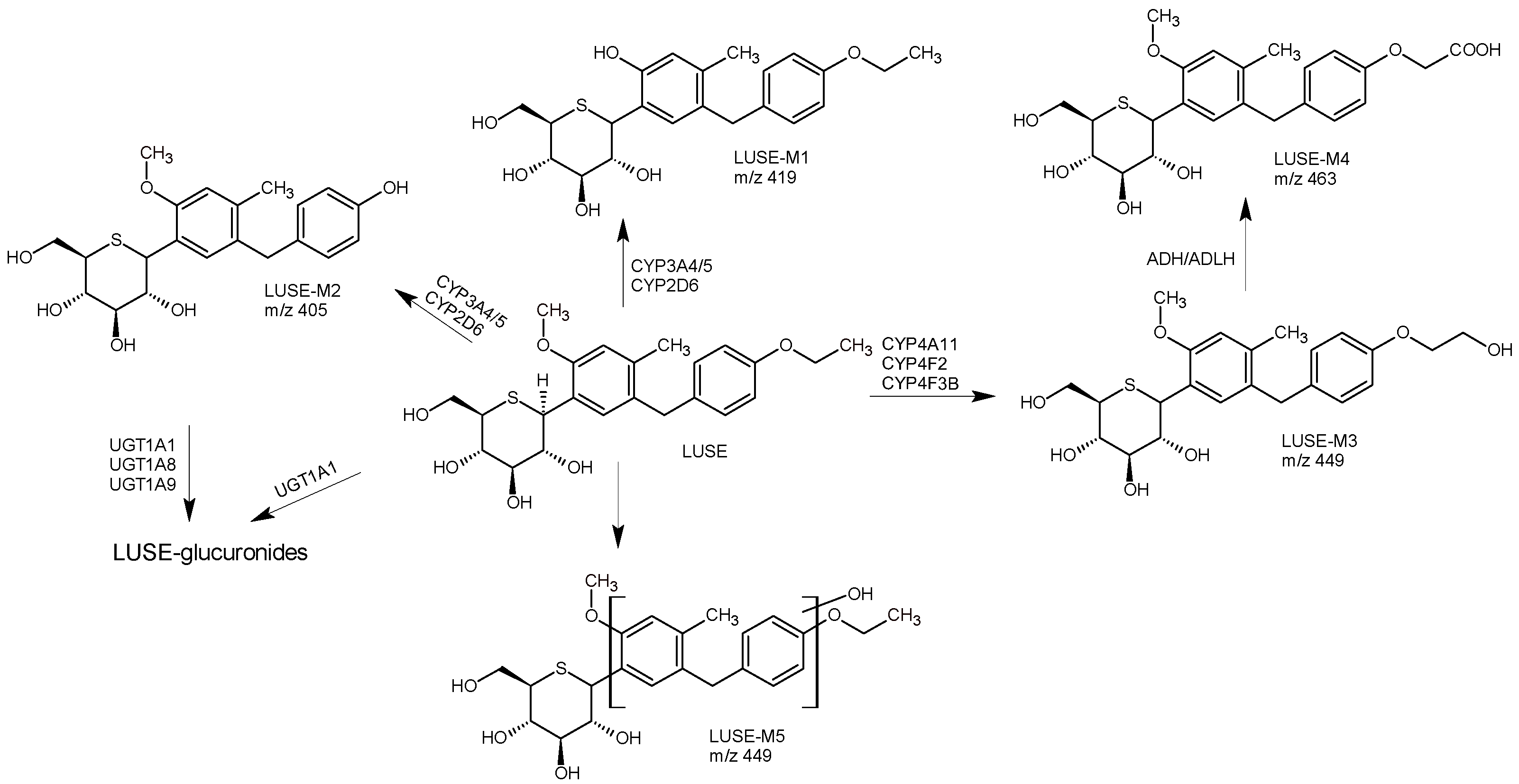 Biomedicines 11 02127 g007 Biomedicines 11 02127 g007