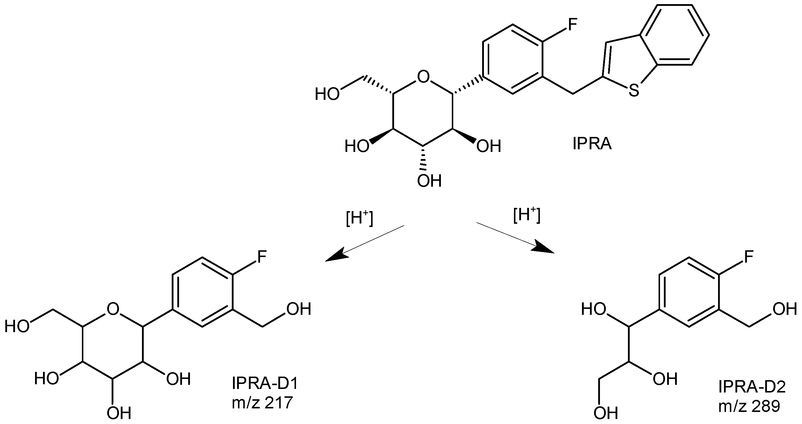 Biomedicines 11 02127 g013 Biomedicines 11 02127 g013