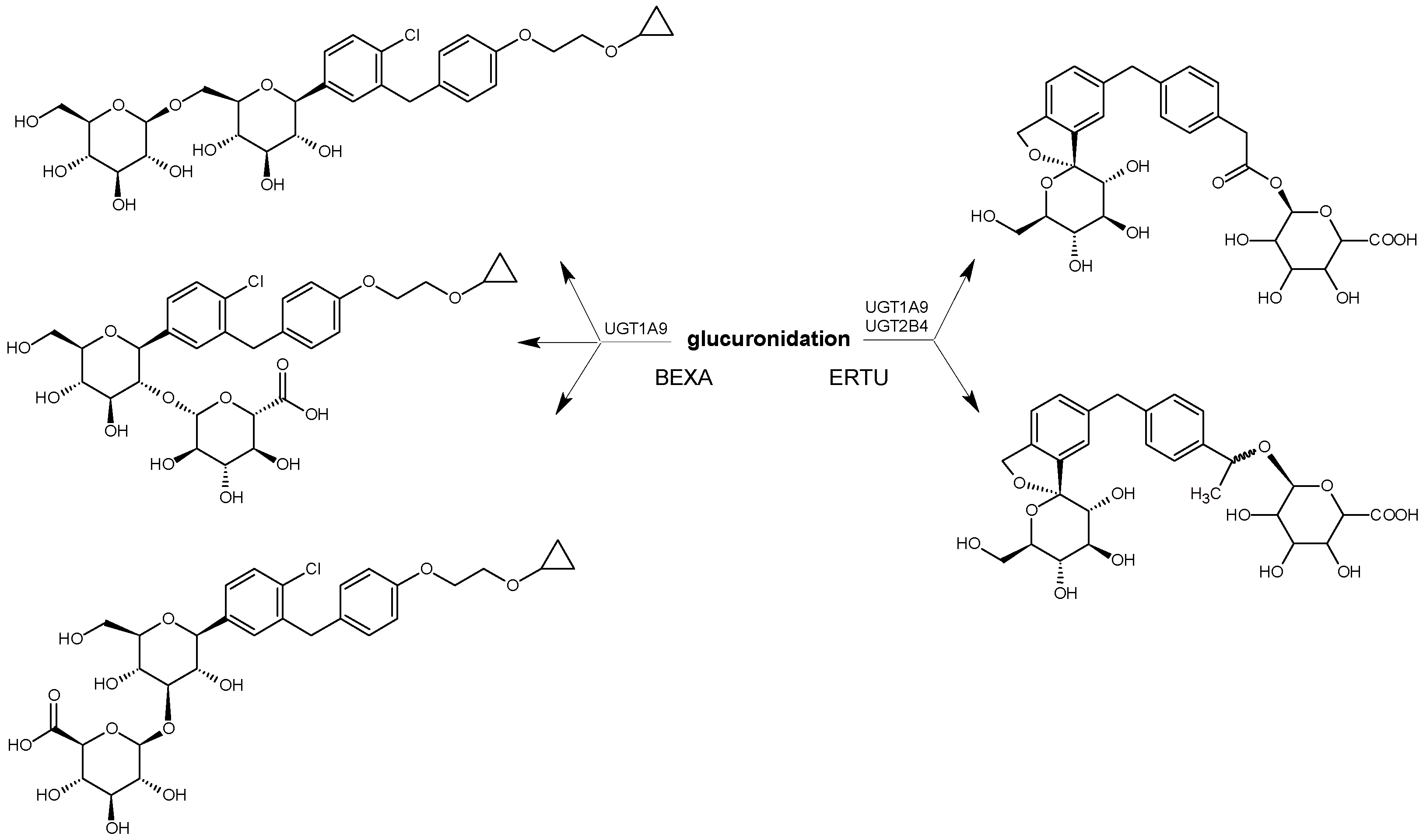 Biomedicines 11 02127 g014 Biomedicines 11 02127 g014