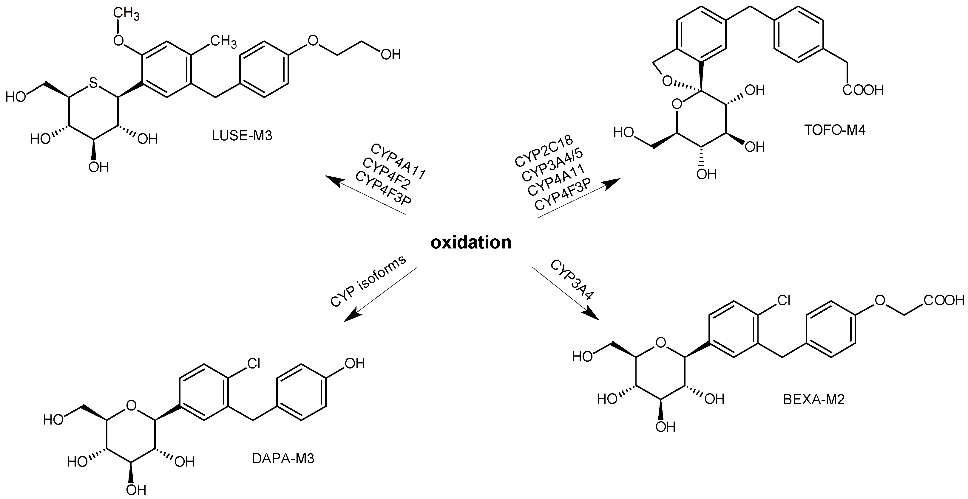 Biomedicines 11 02127 g015 Biomedicines 11 02127 g015