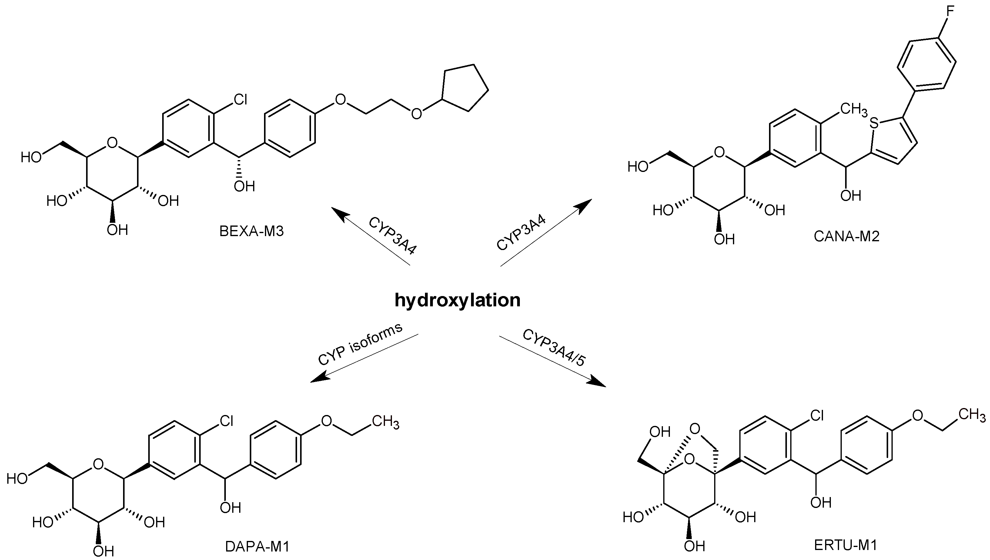 Biomedicines 11 02127 g016 Biomedicines 11 02127 g016