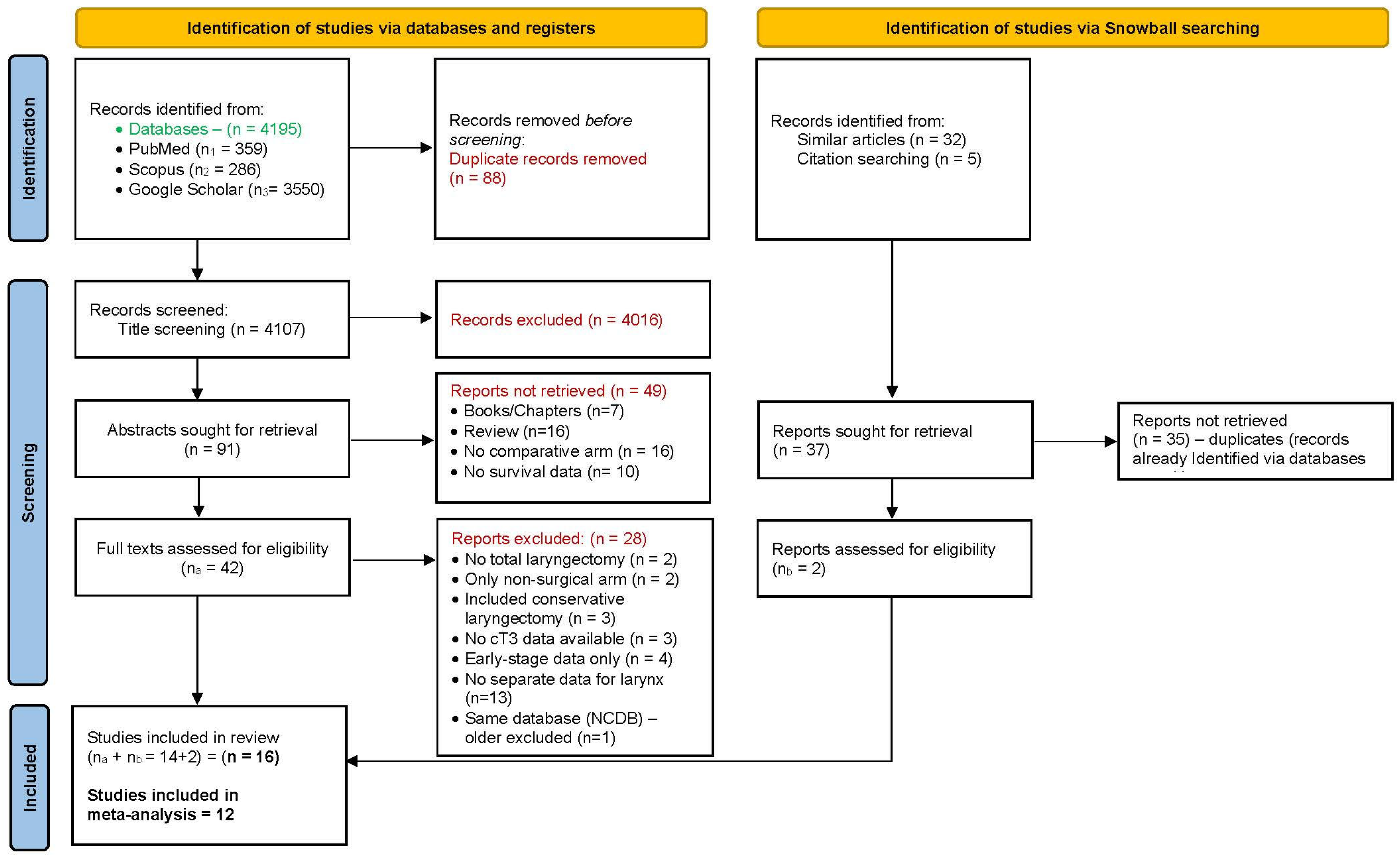 Biomedicines 11 02128 g001