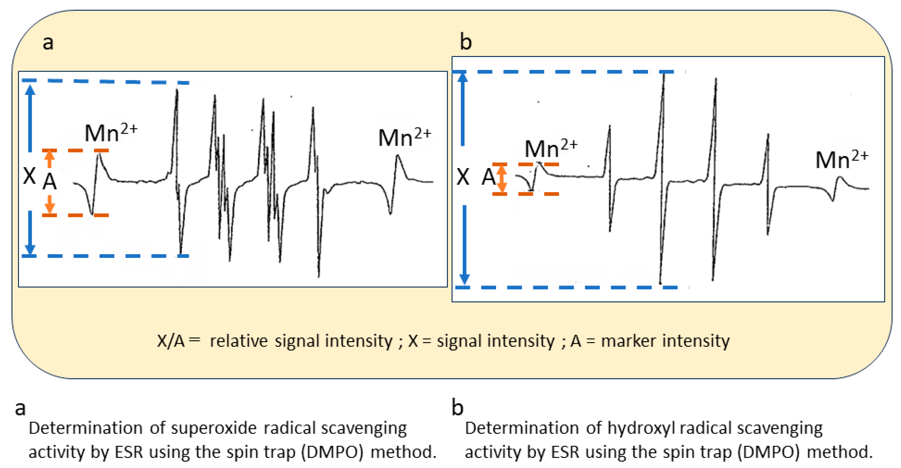 Biomedicines 11 02129 g001 Biomedicines 11 02129 g001