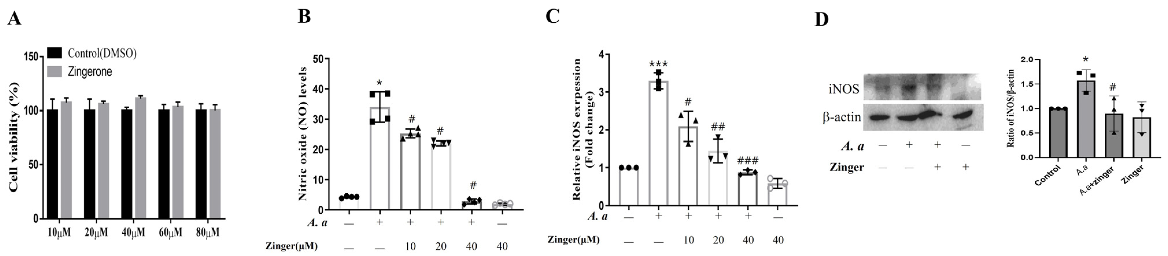 Biomedicines 11 02130 g001 Biomedicines 11 02130 g001