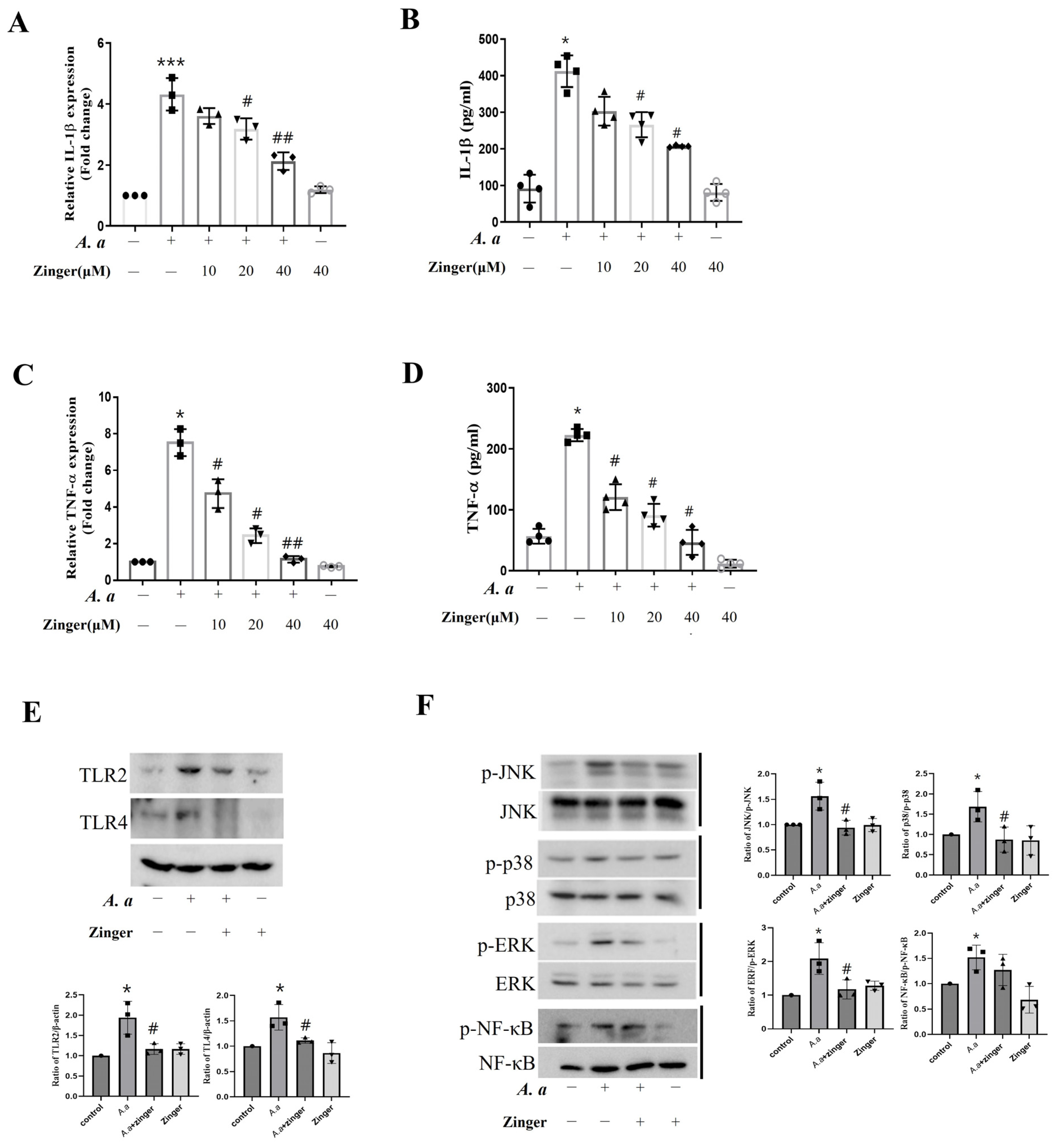 Biomedicines 11 02130 g002 Biomedicines 11 02130 g002