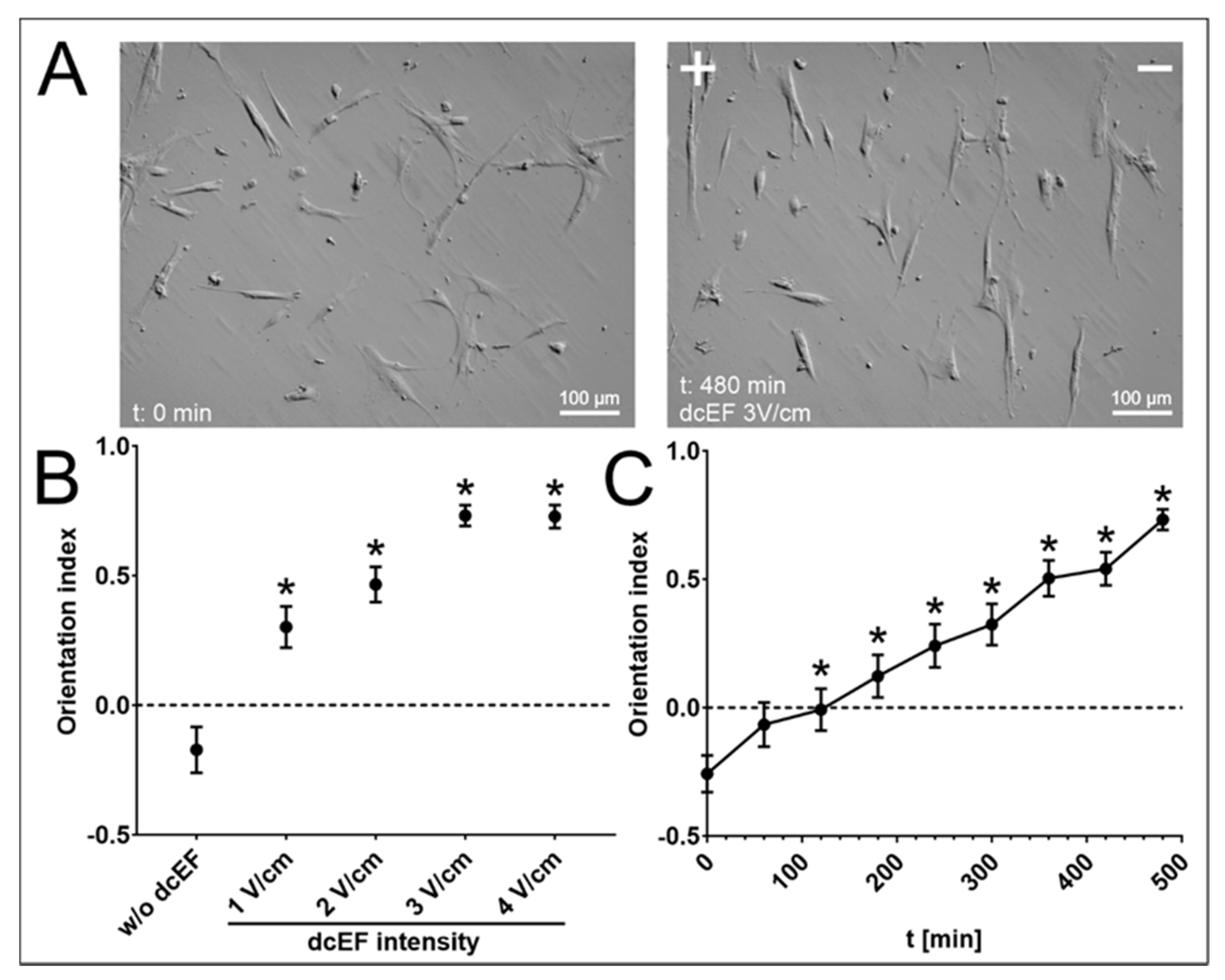 Biomedicines 11 02138 g002 Biomedicines 11 02138 g002