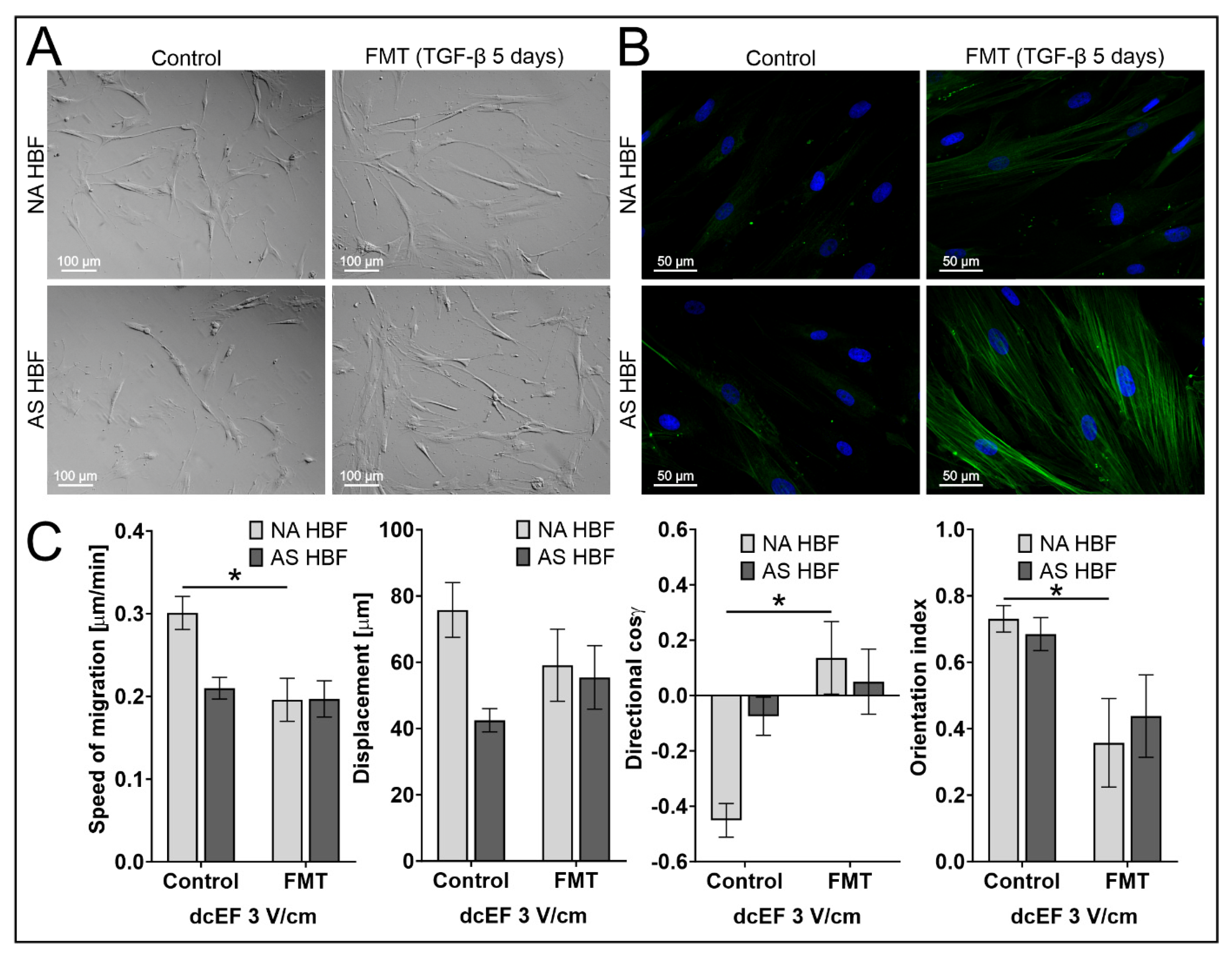 Biomedicines 11 02138 g005 Biomedicines 11 02138 g005