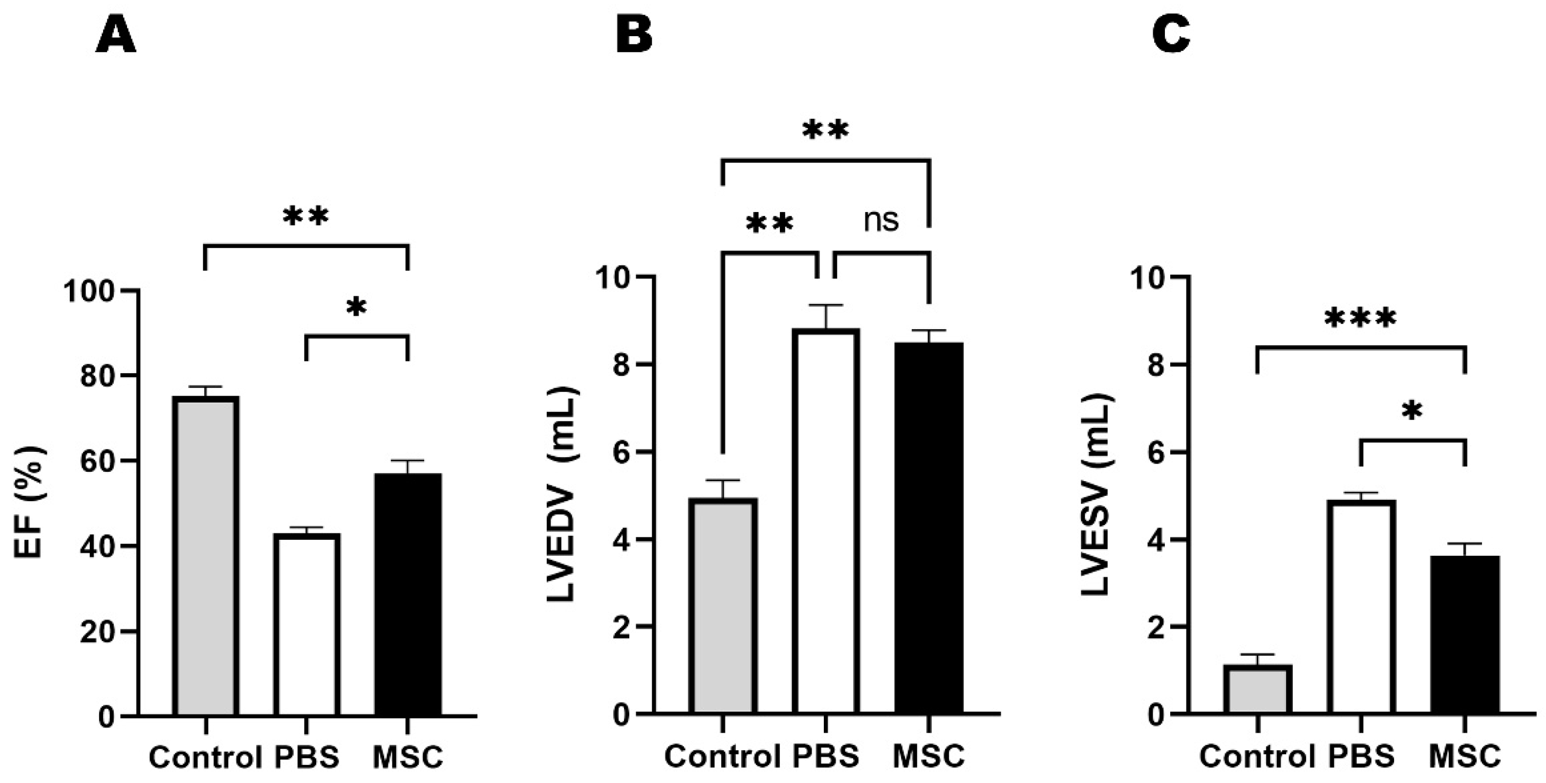 Biomedicines 11 02141 g002 Biomedicines 11 02141 g002