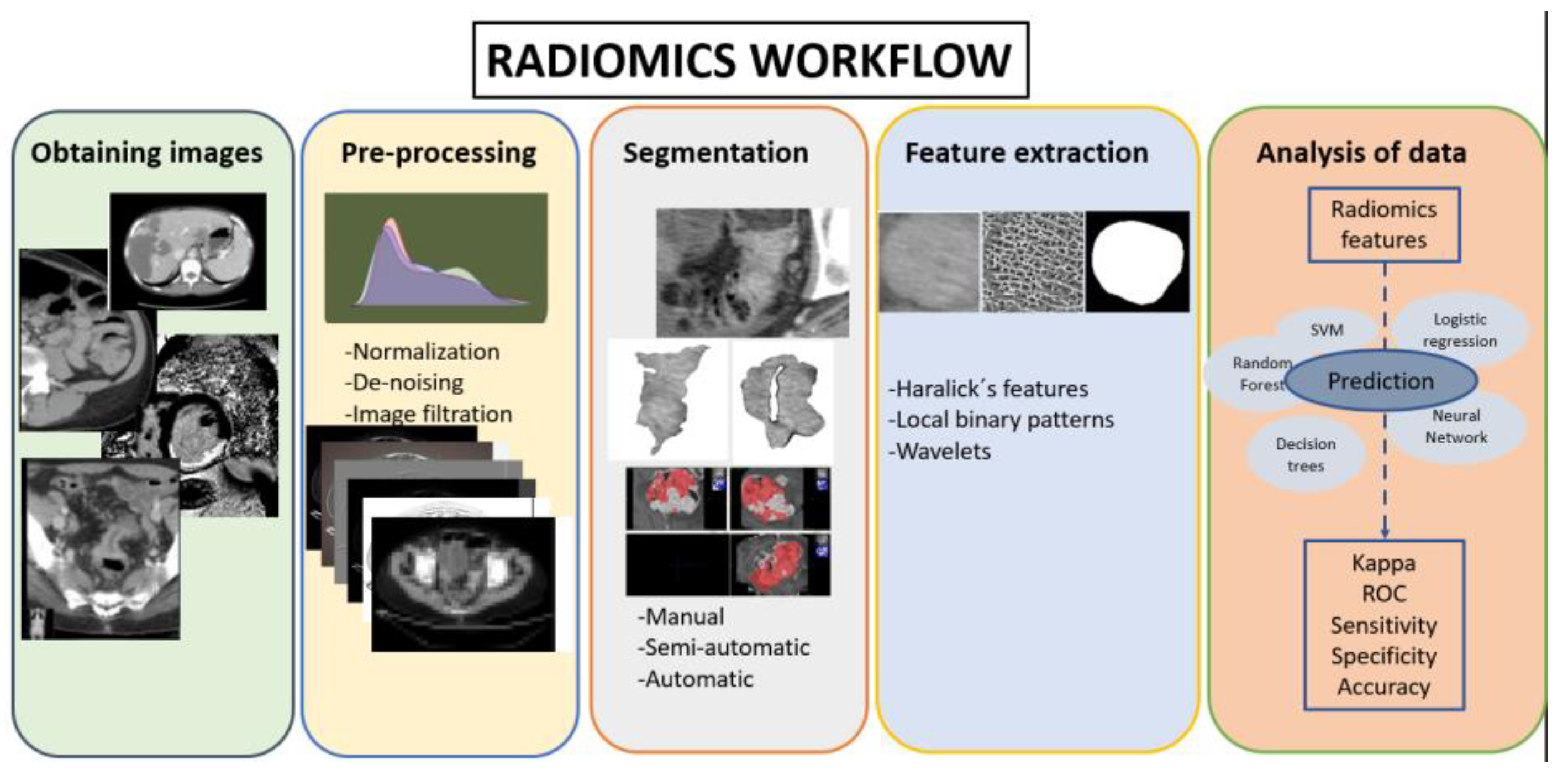 Biomedicines 11 02144 g001