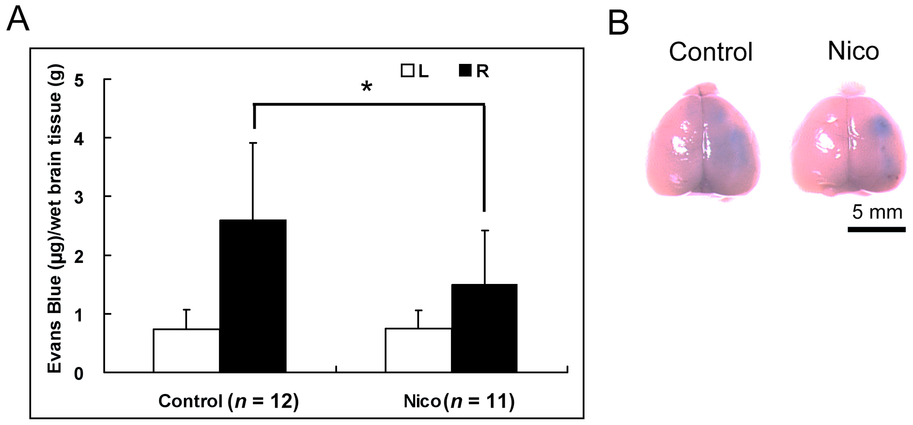 Biomedicines 11 02145 g004