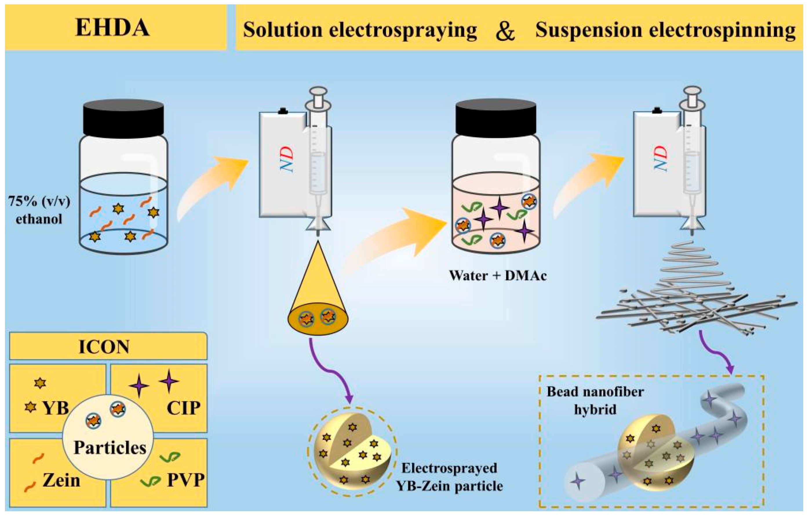 Biomedicines 11 02146 g001