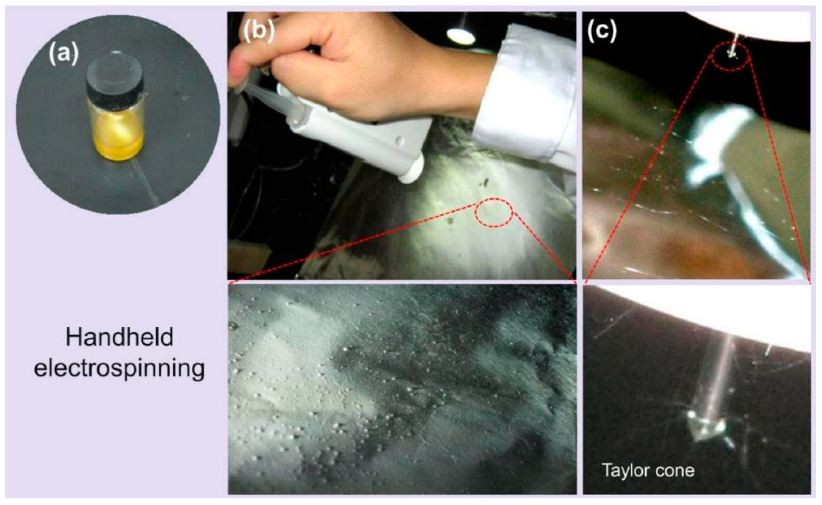 Biomedicines 11 02146 g003
