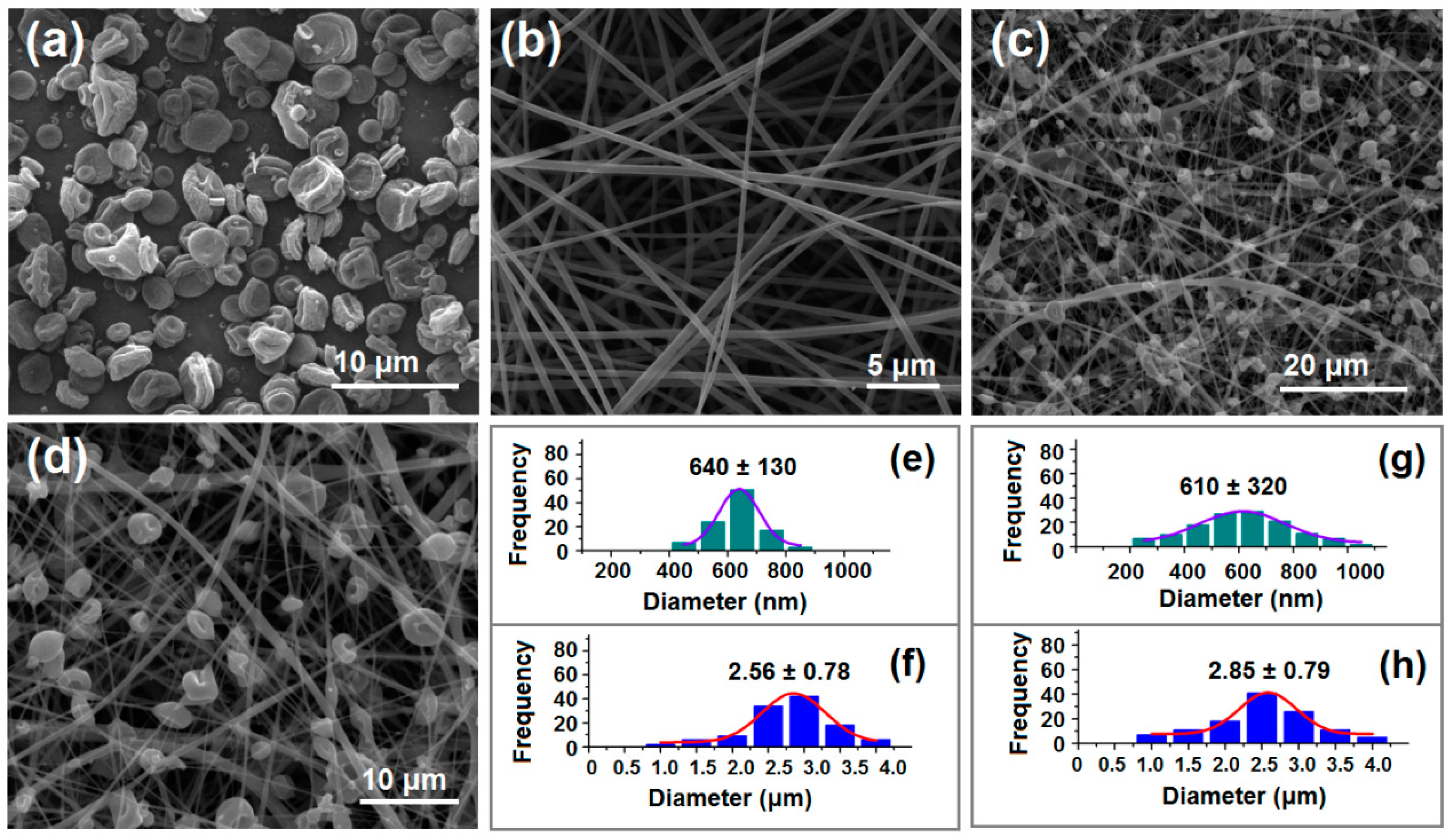Biomedicines 11 02146 g004