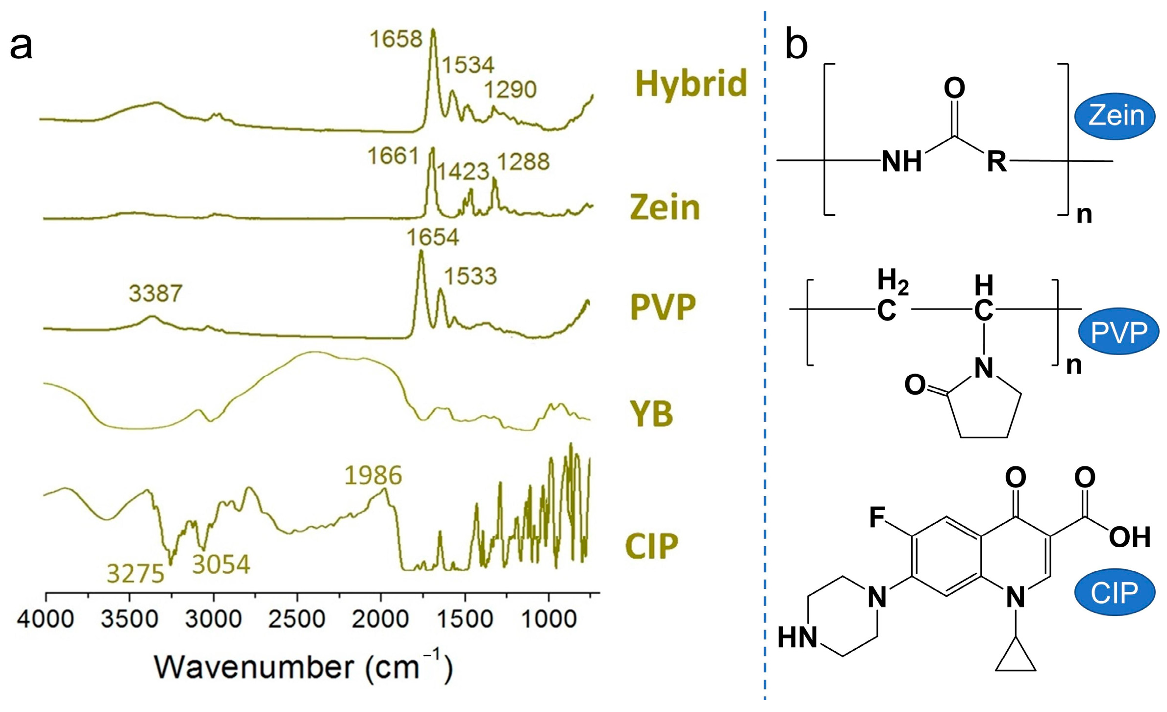 Biomedicines 11 02146 g006