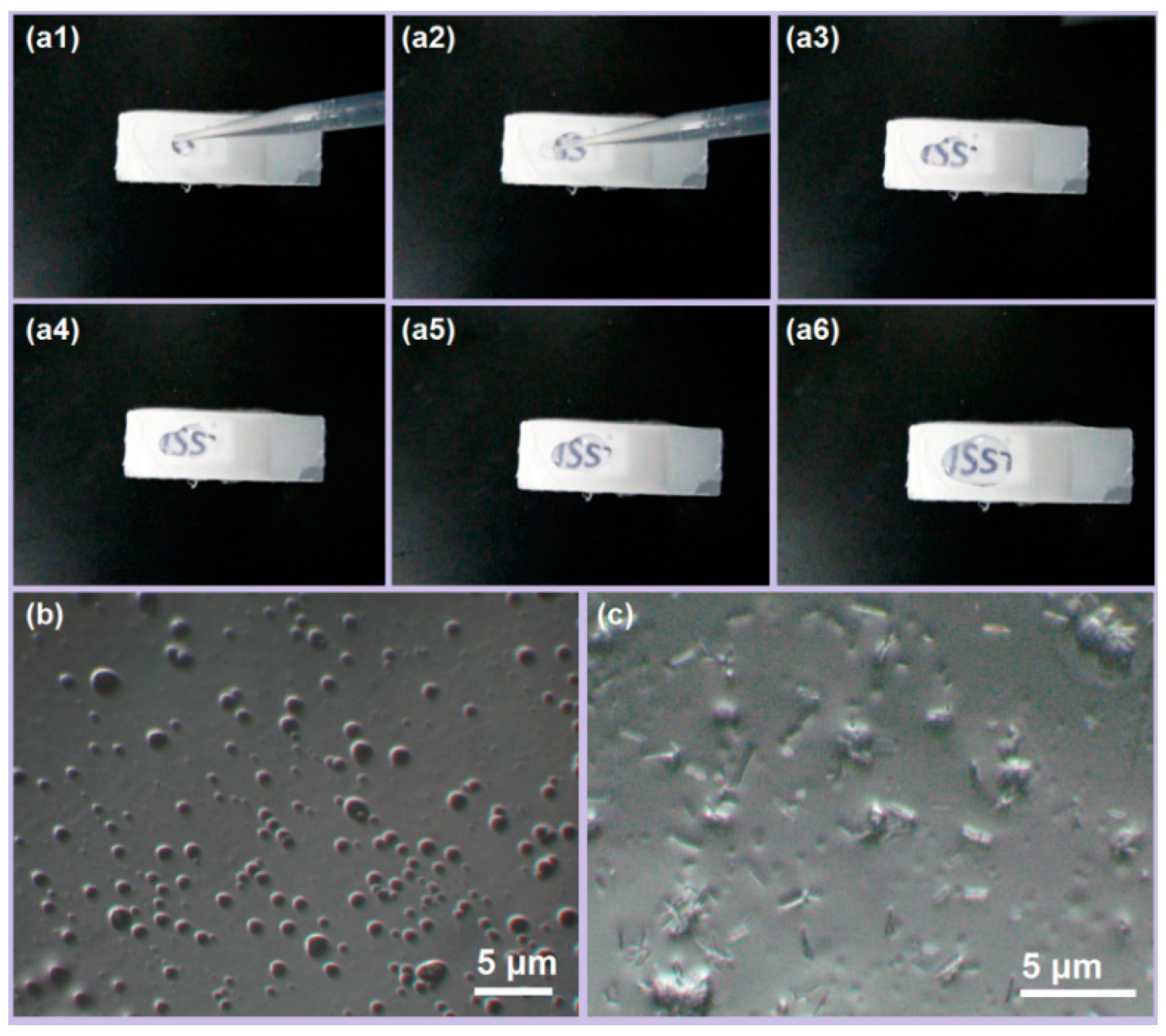 Biomedicines 11 02146 g007
