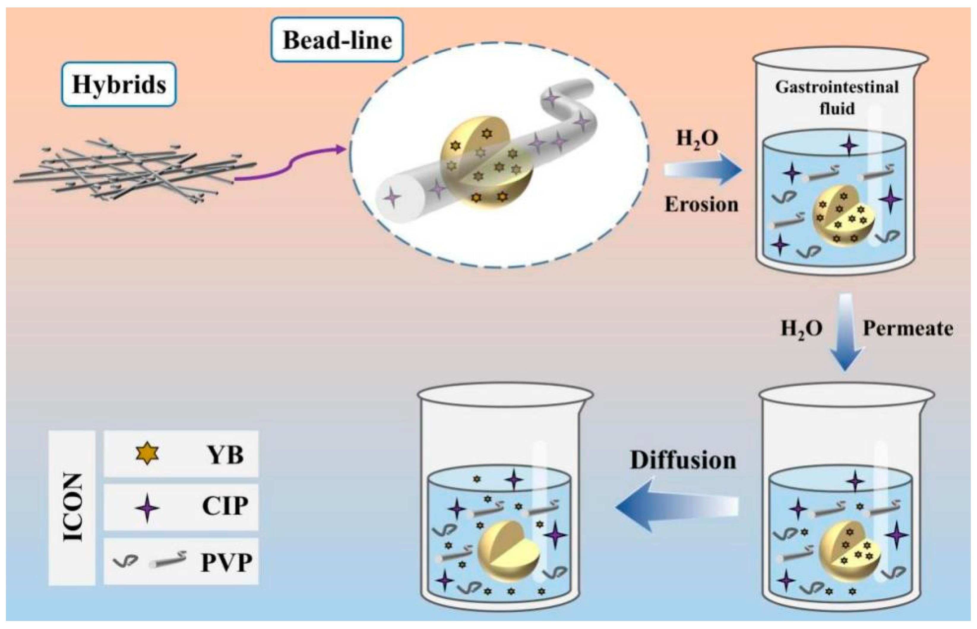 Biomedicines 11 02146 g010