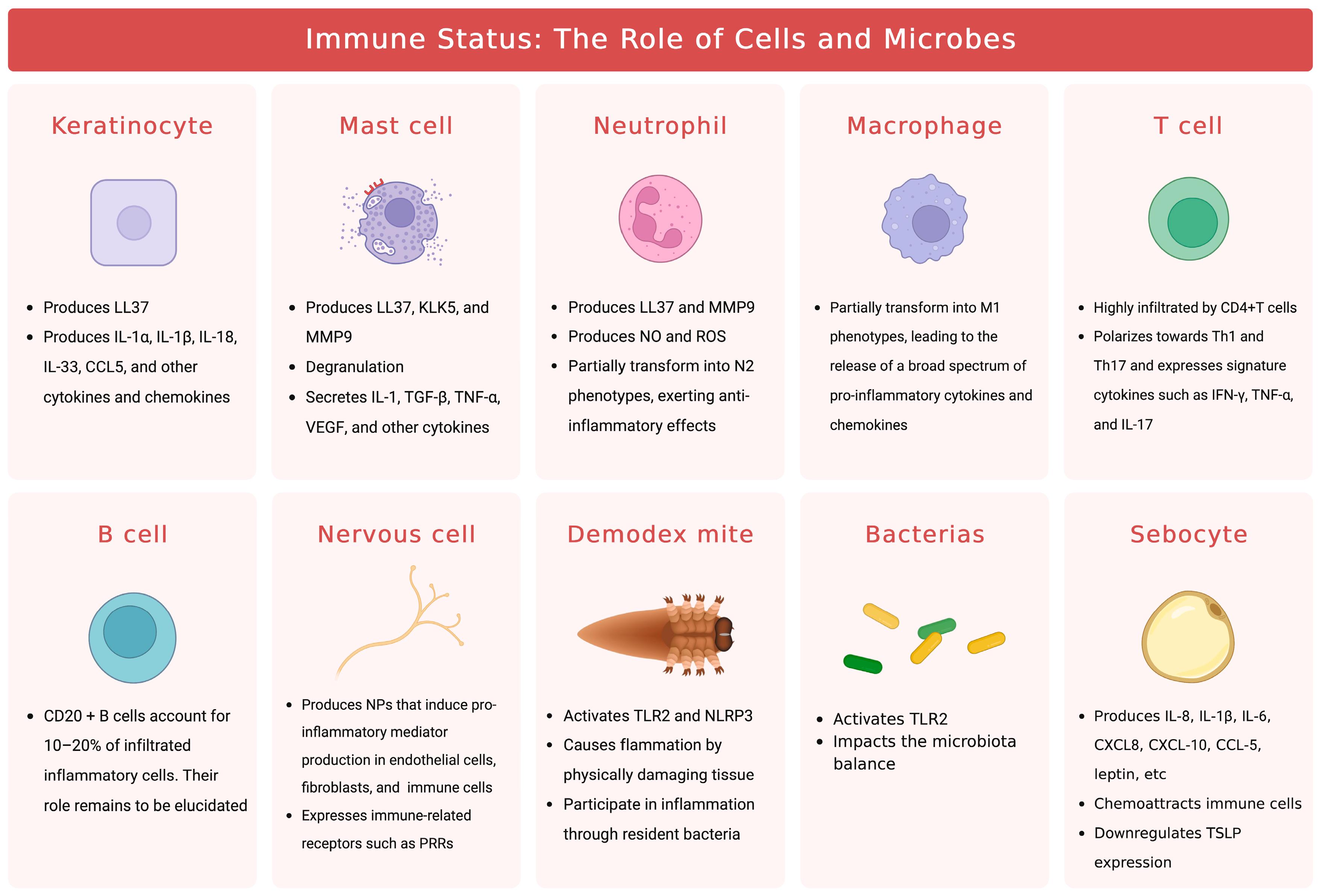 Biomedicines 11 02153 g003 Biomedicines 11 02153 g003