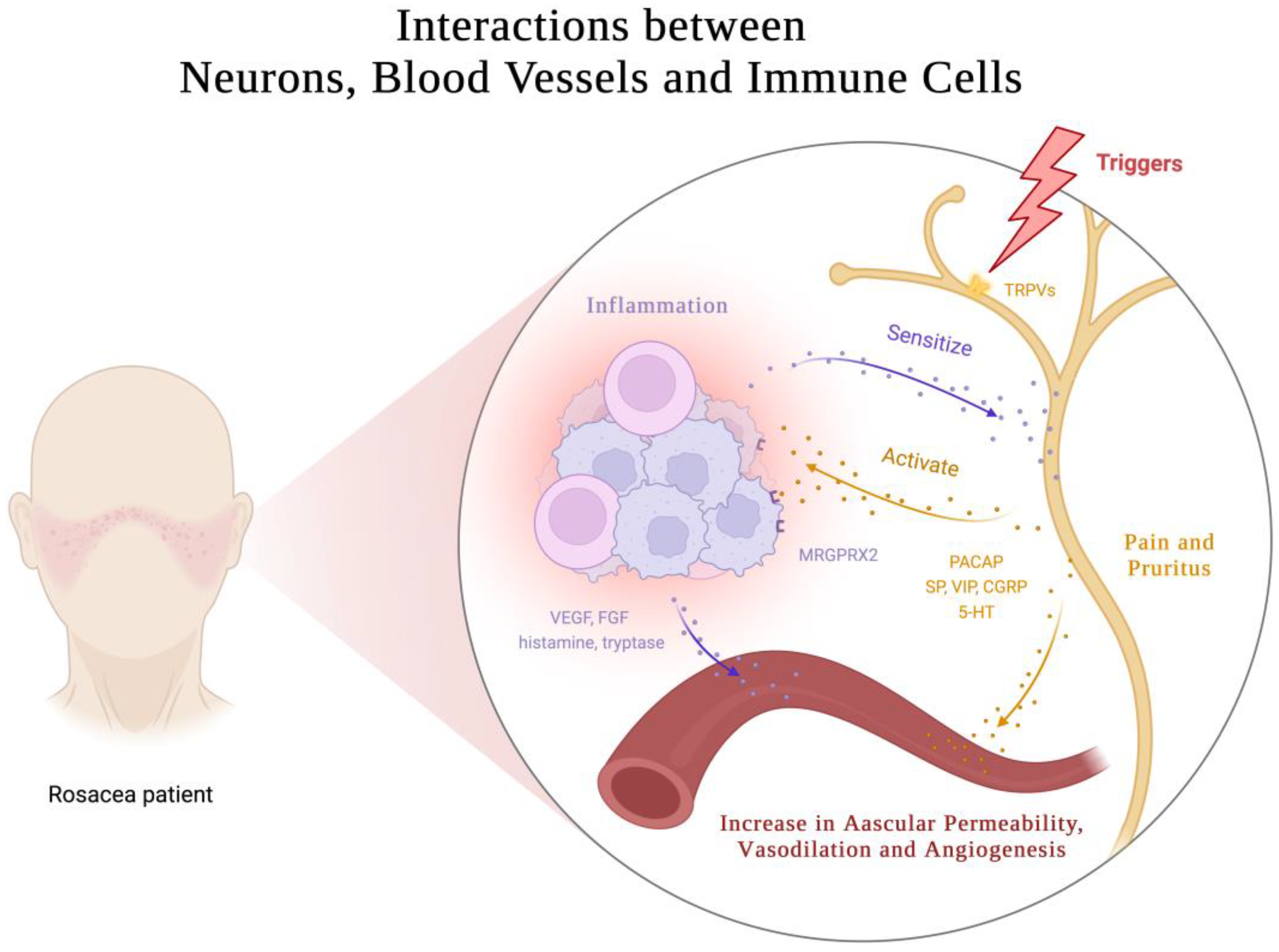 Biomedicines 11 02153 g004 Biomedicines 11 02153 g004