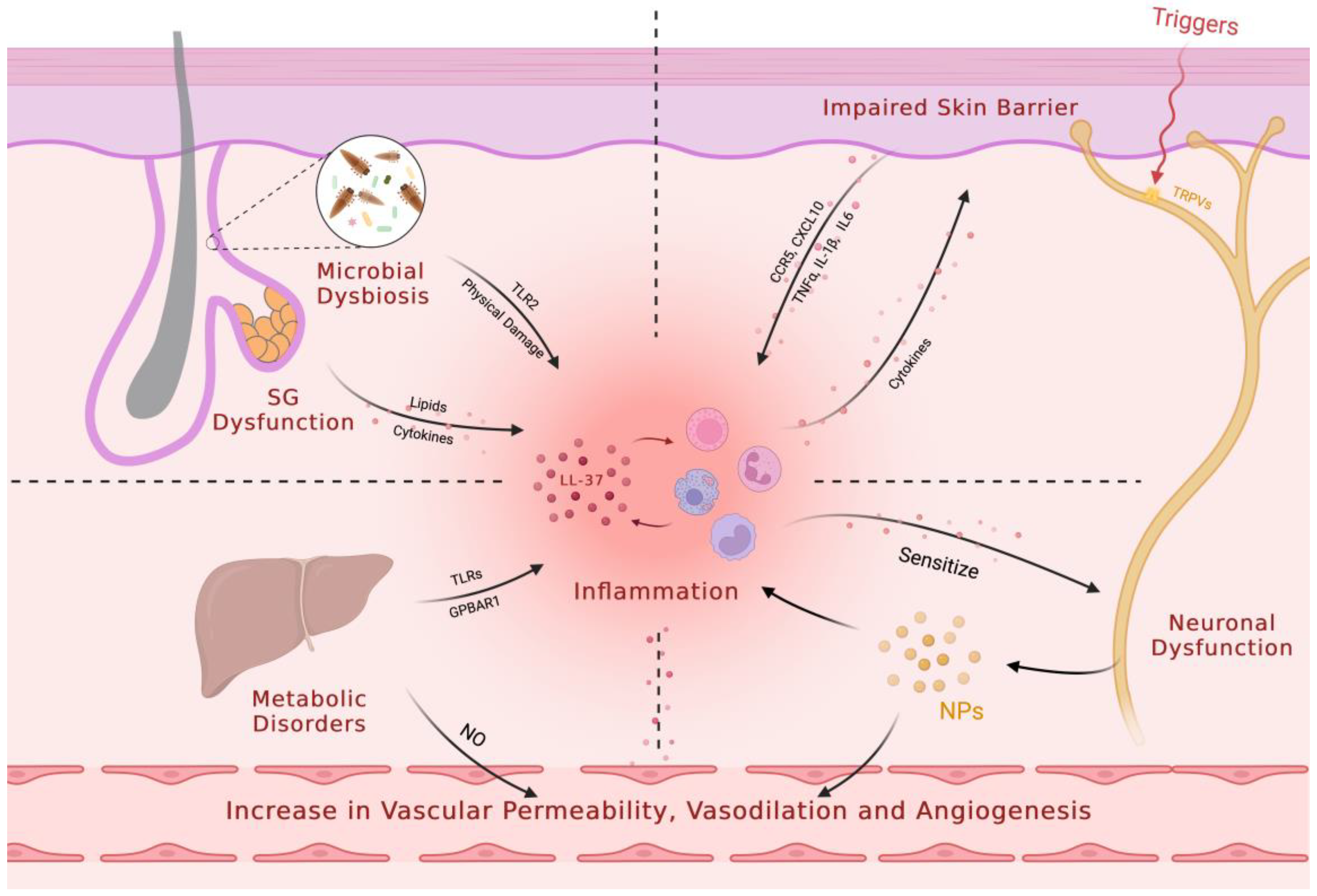 Biomedicines 11 02153 g005 Biomedicines 11 02153 g005