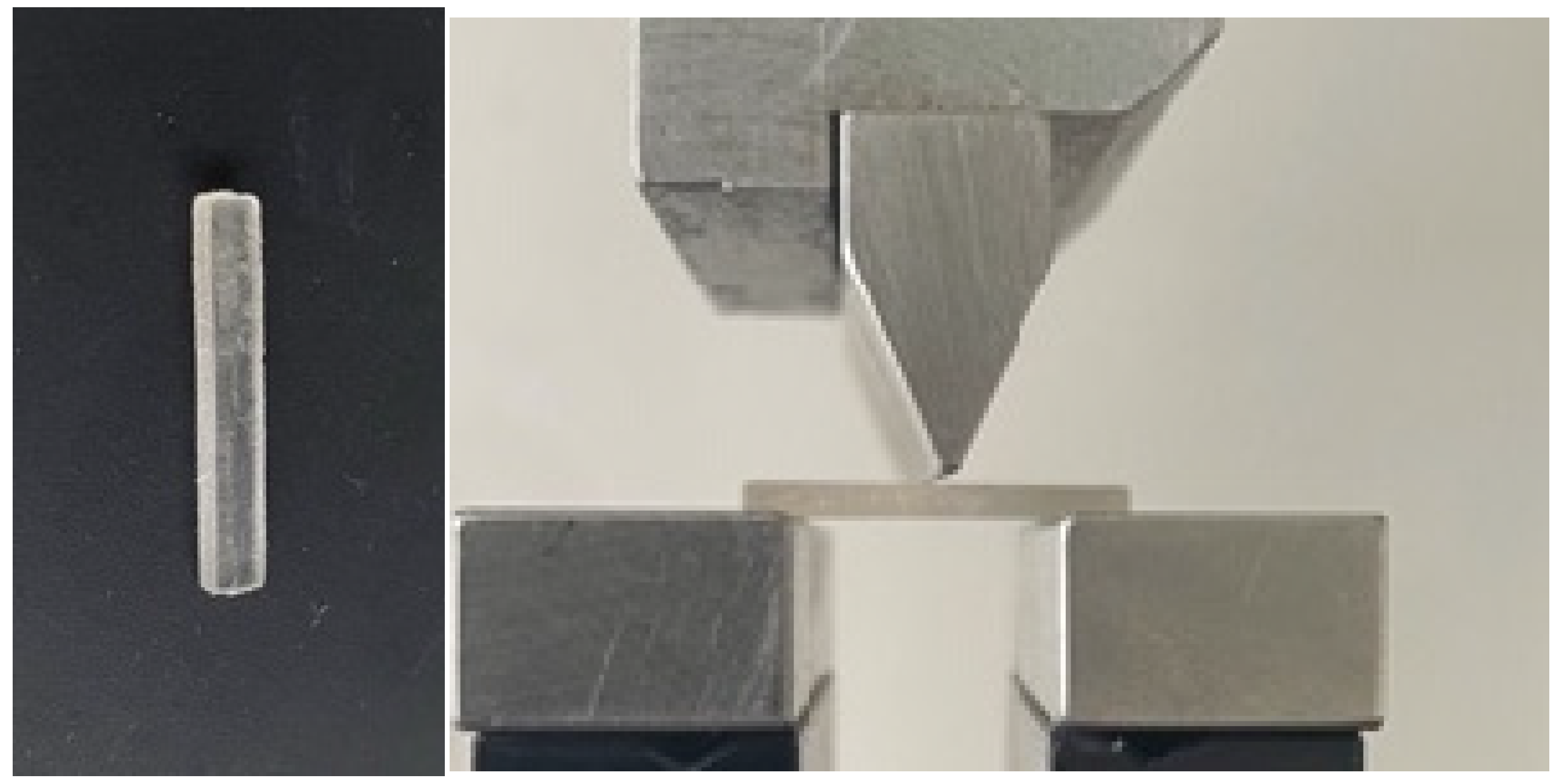 Biomedicines 11 02155 g002