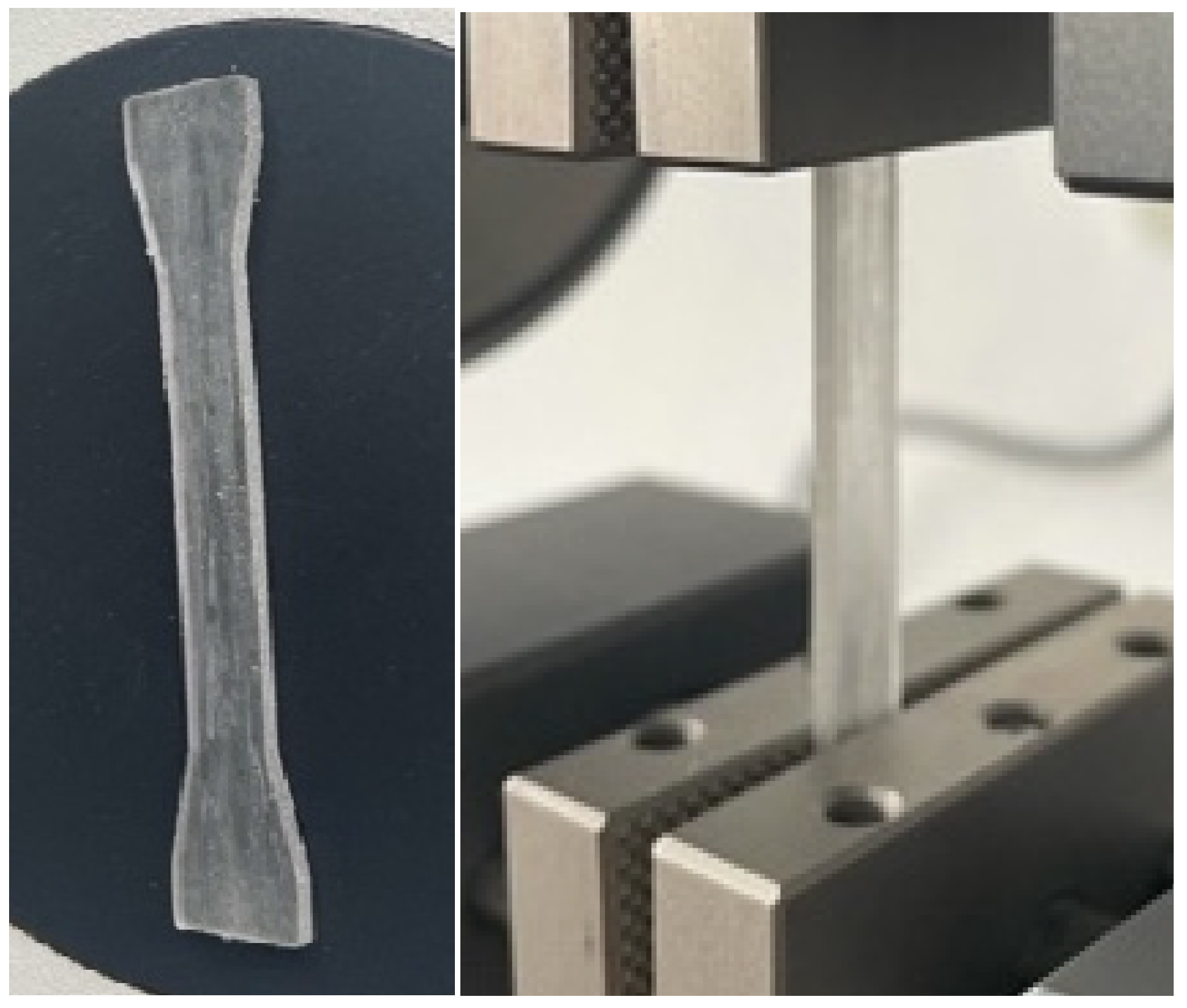 Biomedicines 11 02155 g003