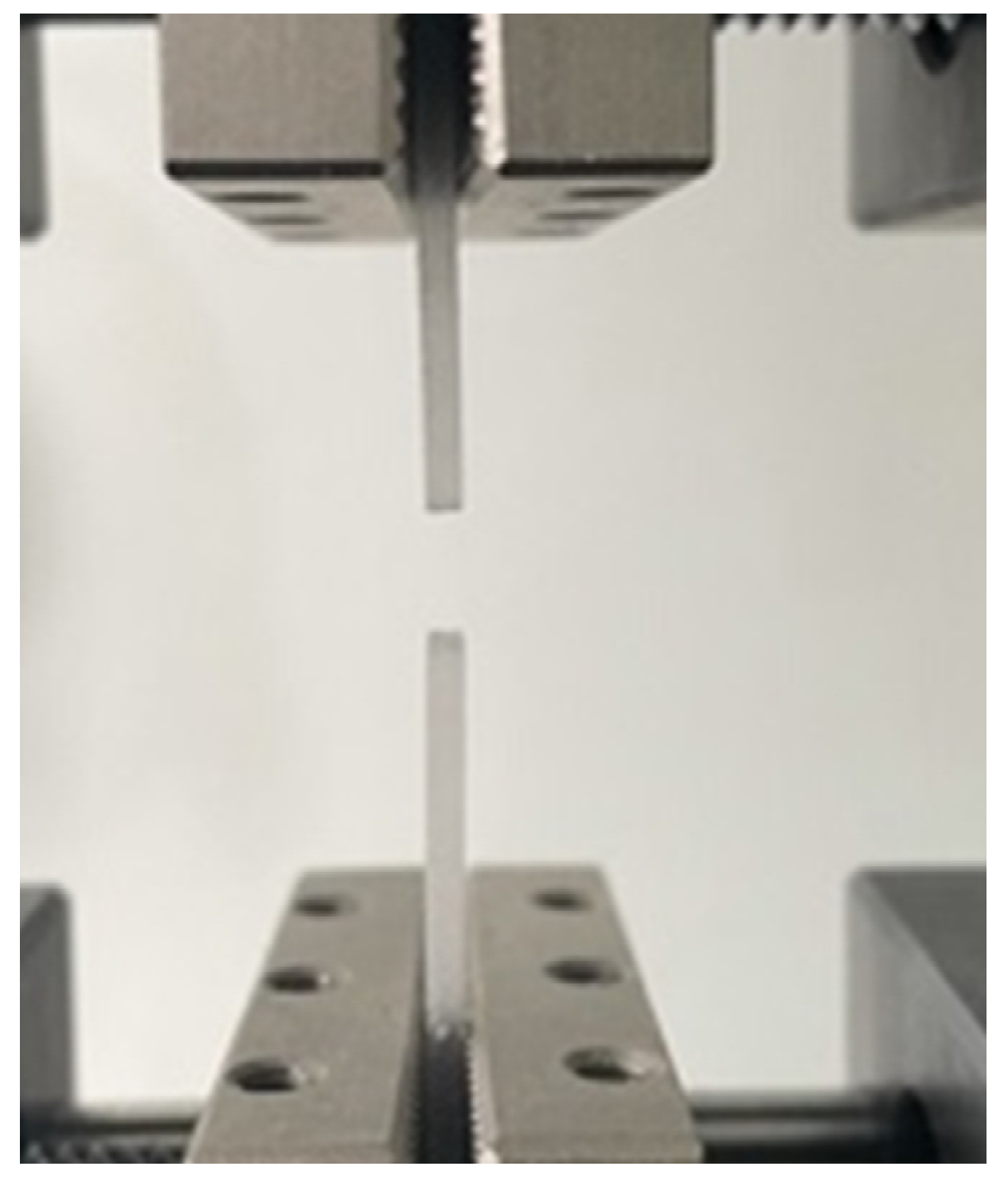 Biomedicines 11 02155 g008