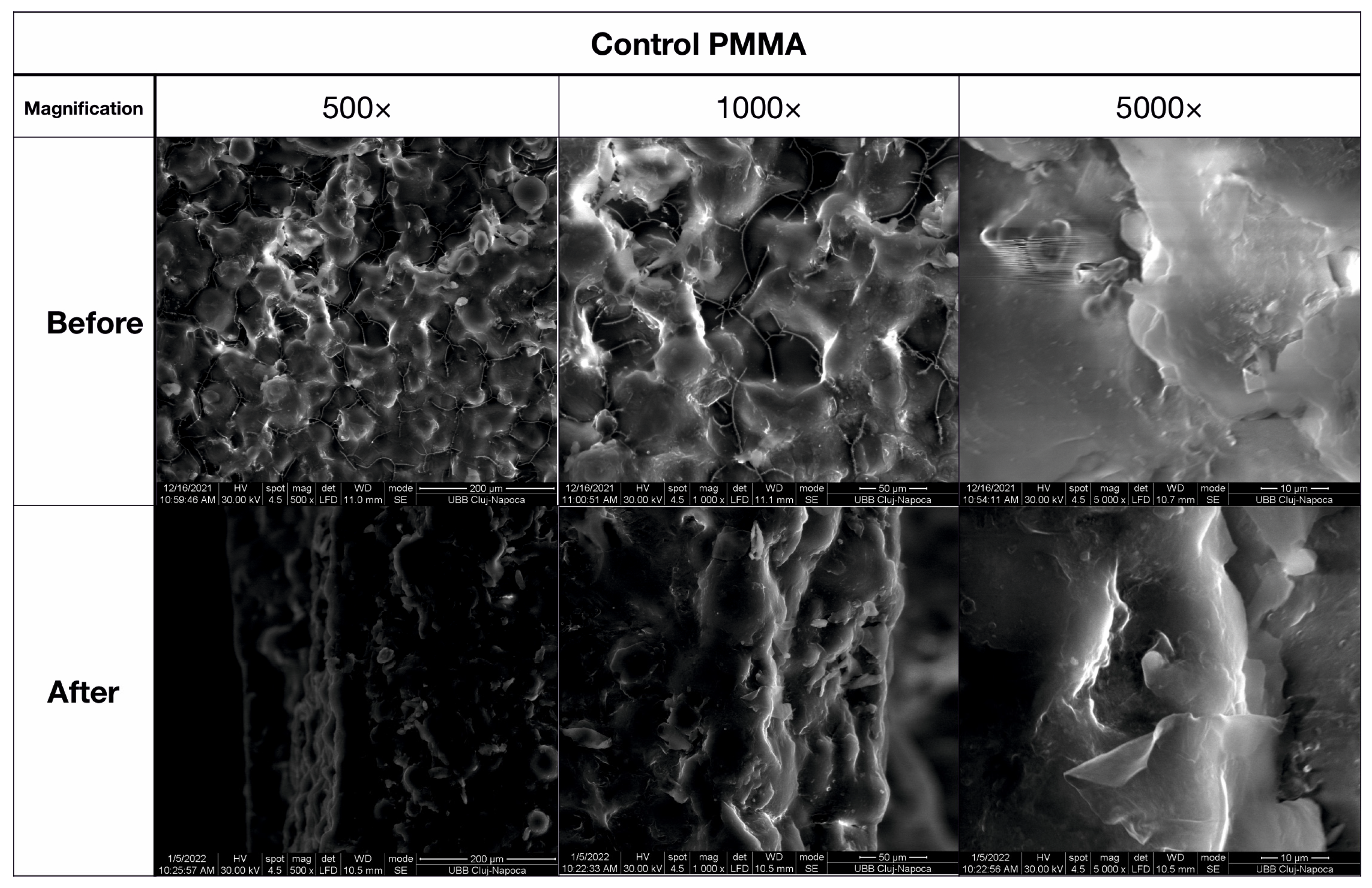 Biomedicines 11 02155 g010