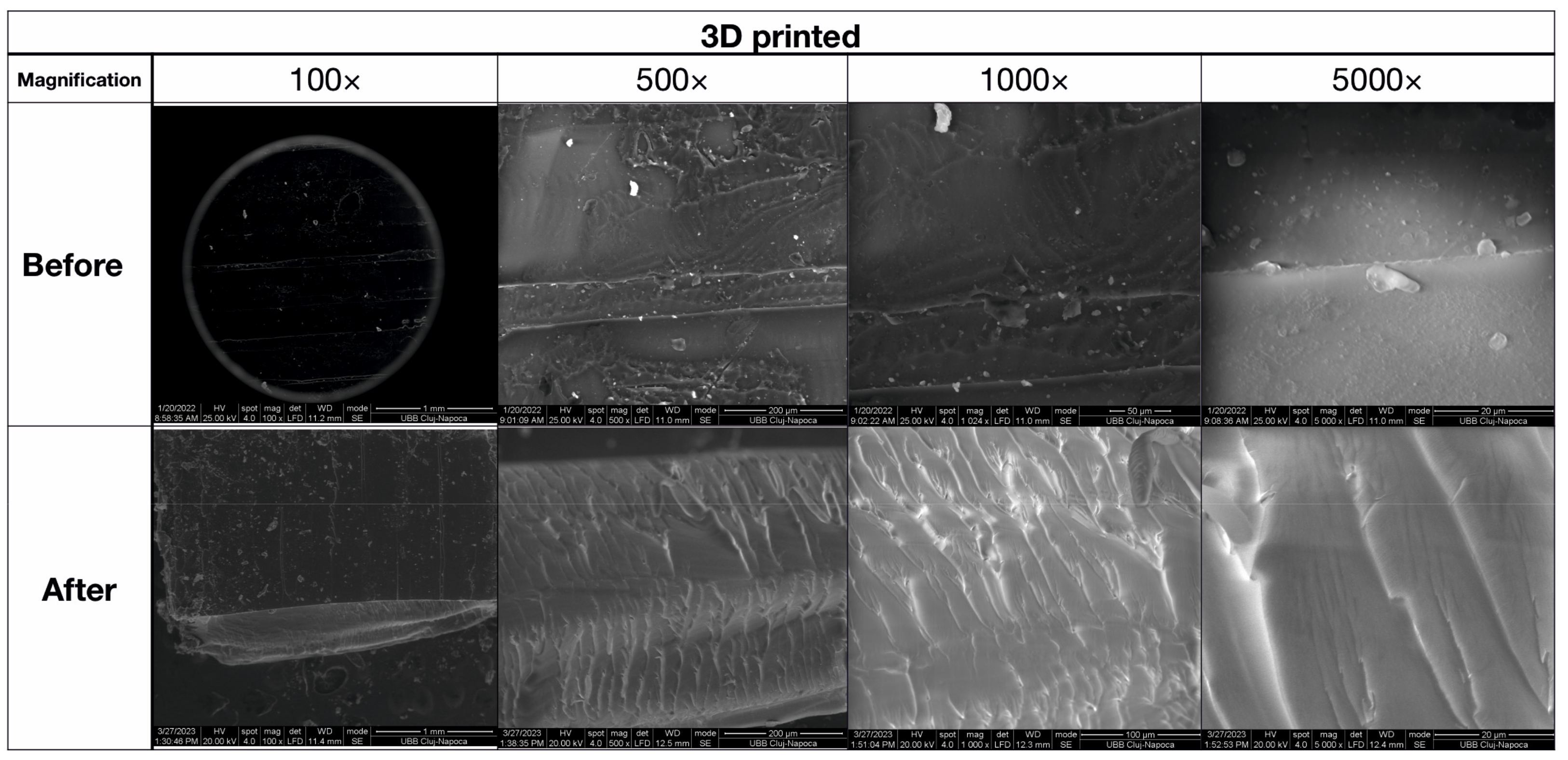 Biomedicines 11 02155 g011