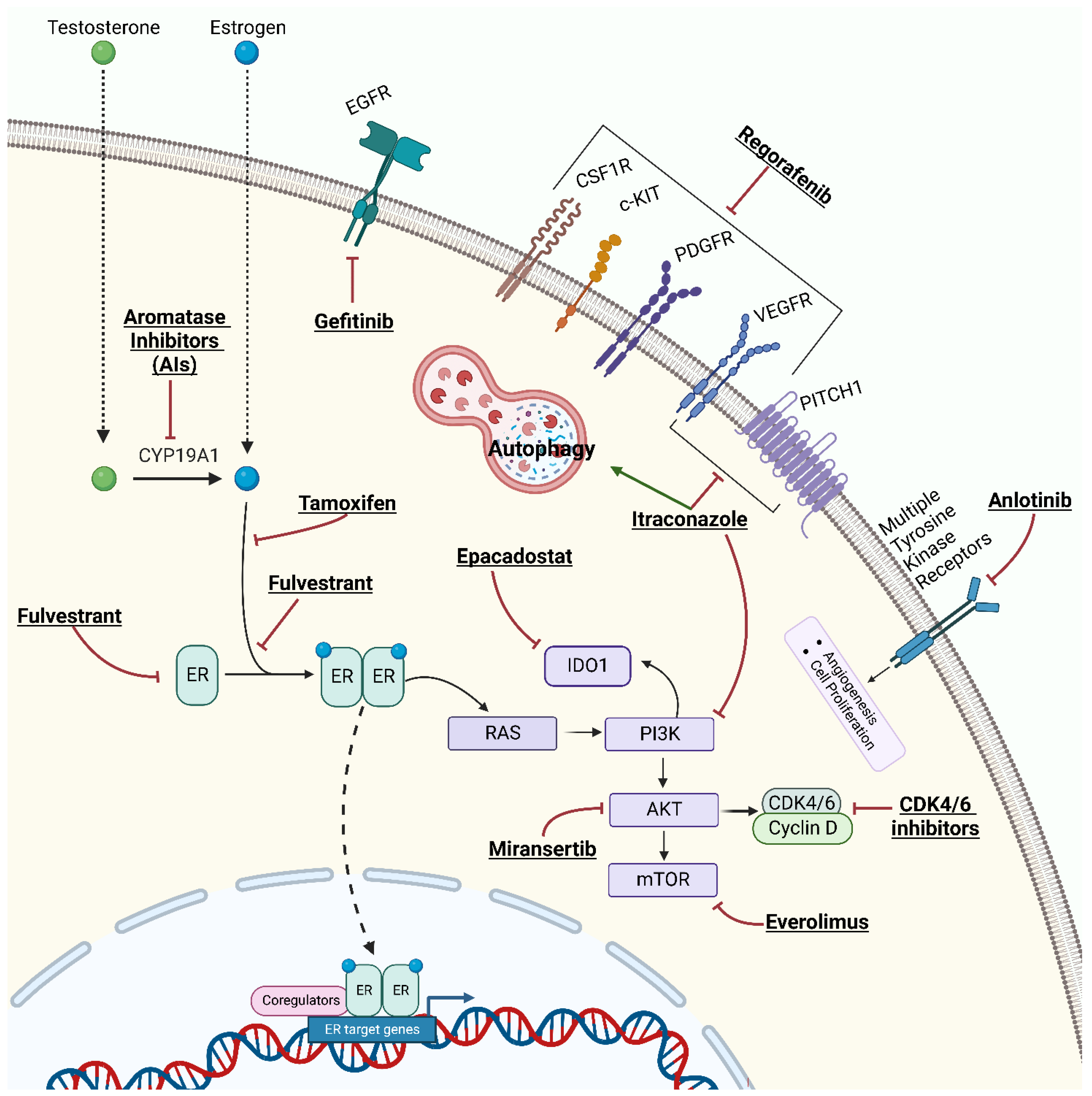 Biomedicines 11 02157 g002 Biomedicines 11 02157 g002