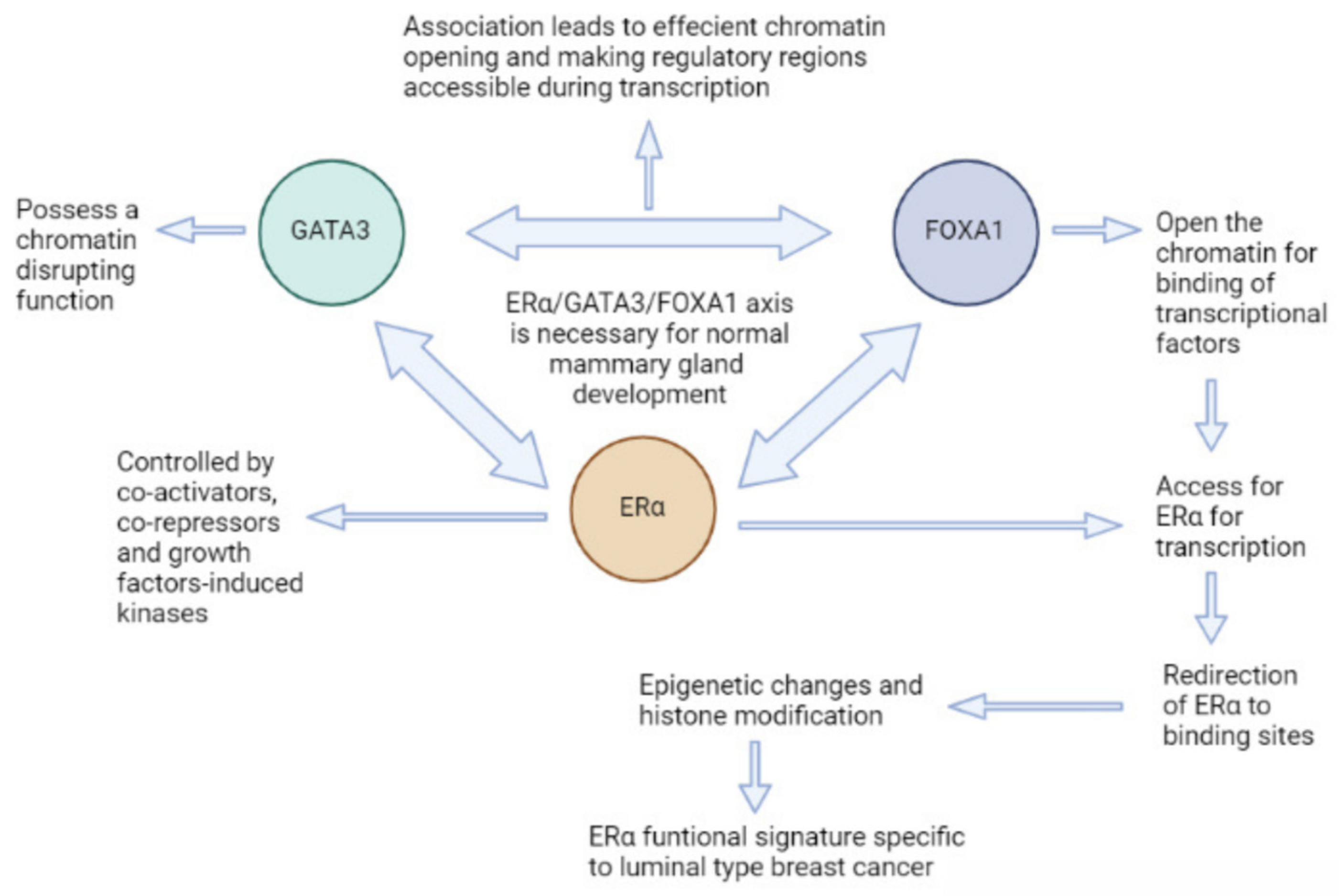 Biomedicines 11 02159 g001