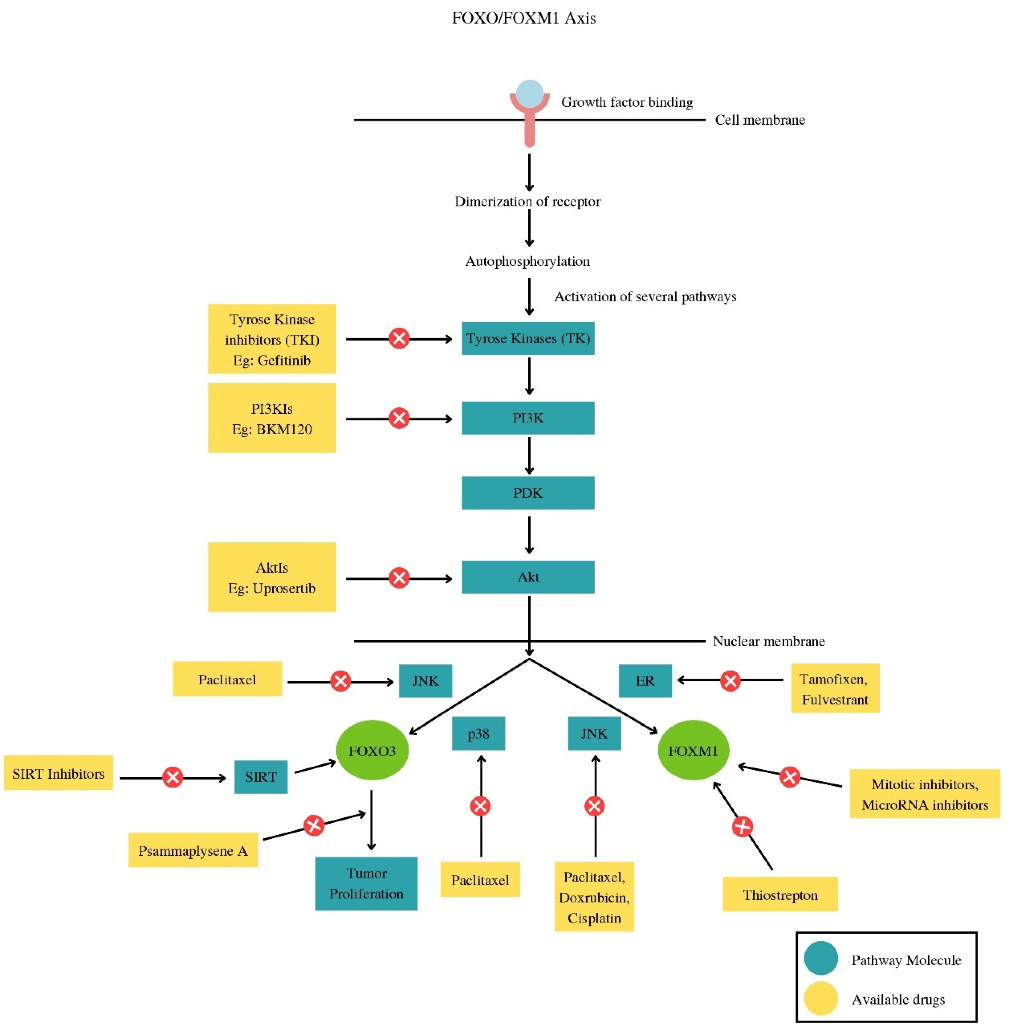 Biomedicines 11 02159 g007