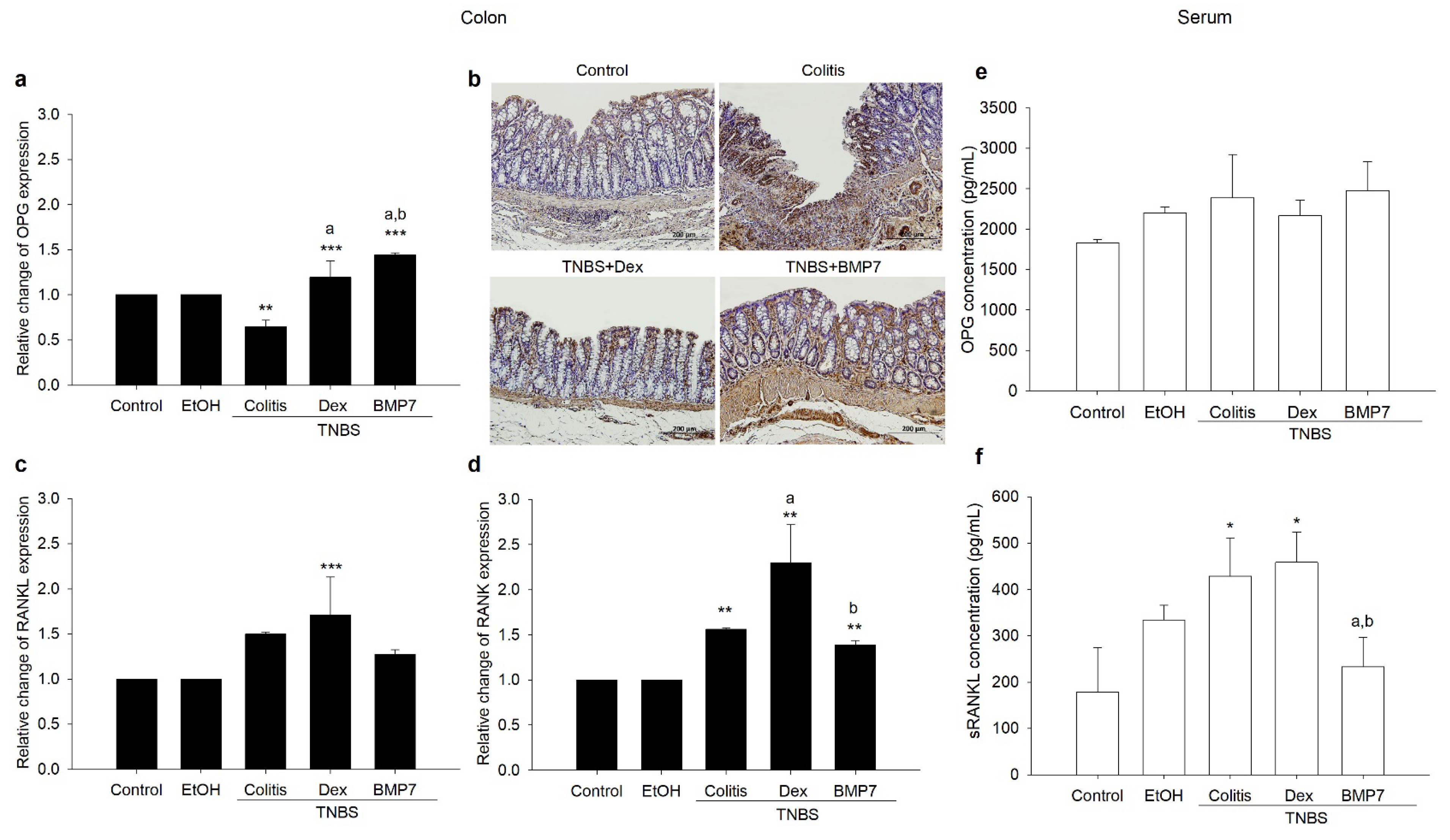 Biomedicines 11 02161 g002 Biomedicines 11 02161 g002