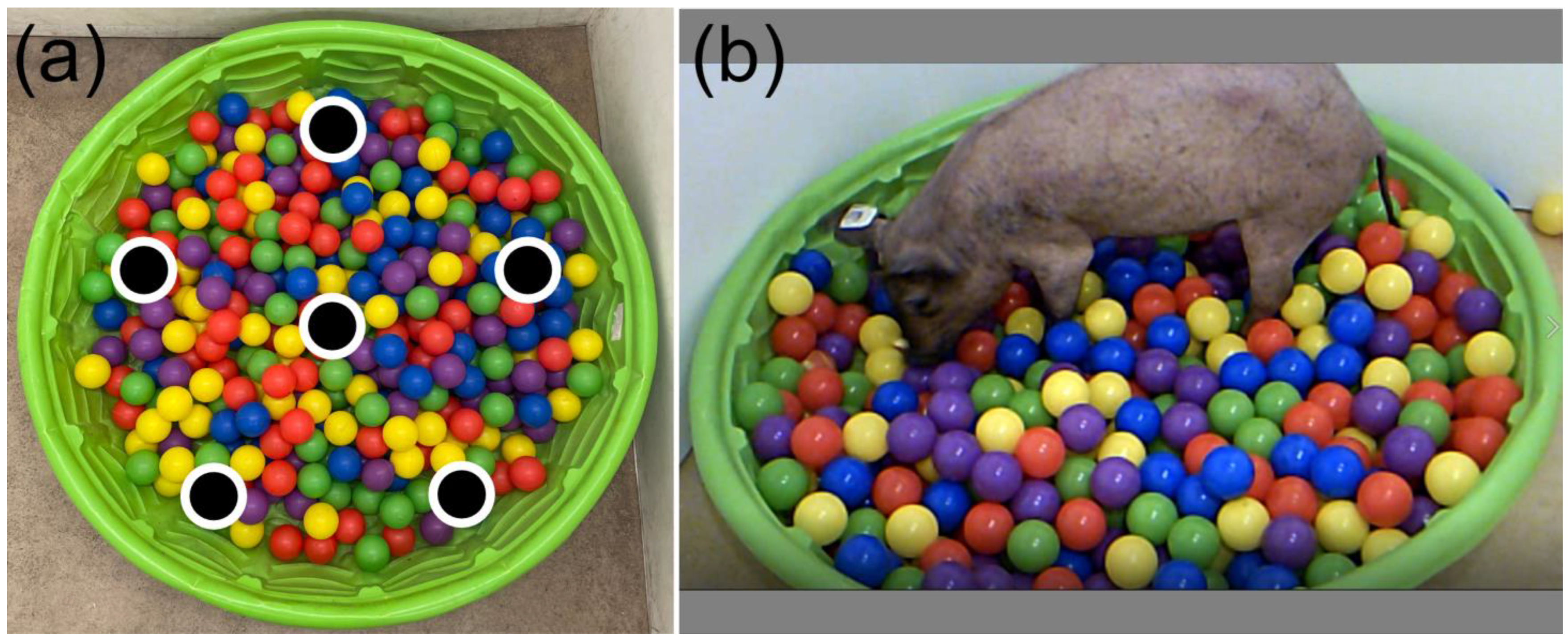 Biomedicines 11 02165 g002 Biomedicines 11 02165 g002