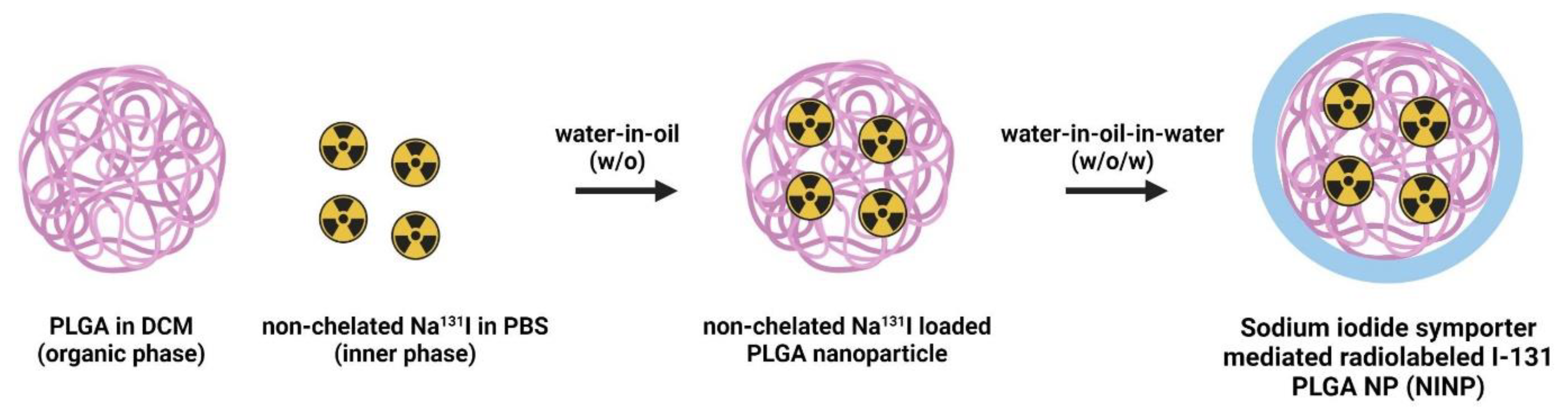 Biomedicines 11 02169 g001