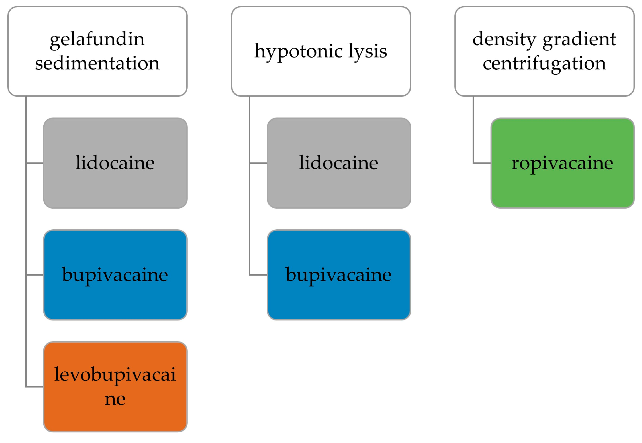 Biomedicines 11 02170 g001 Biomedicines 11 02170 g001