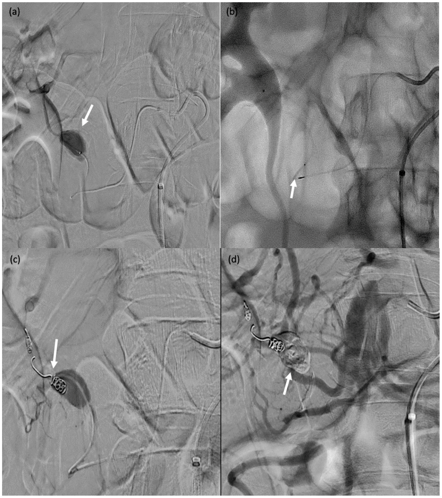 Biomedicines 11 02172 g007