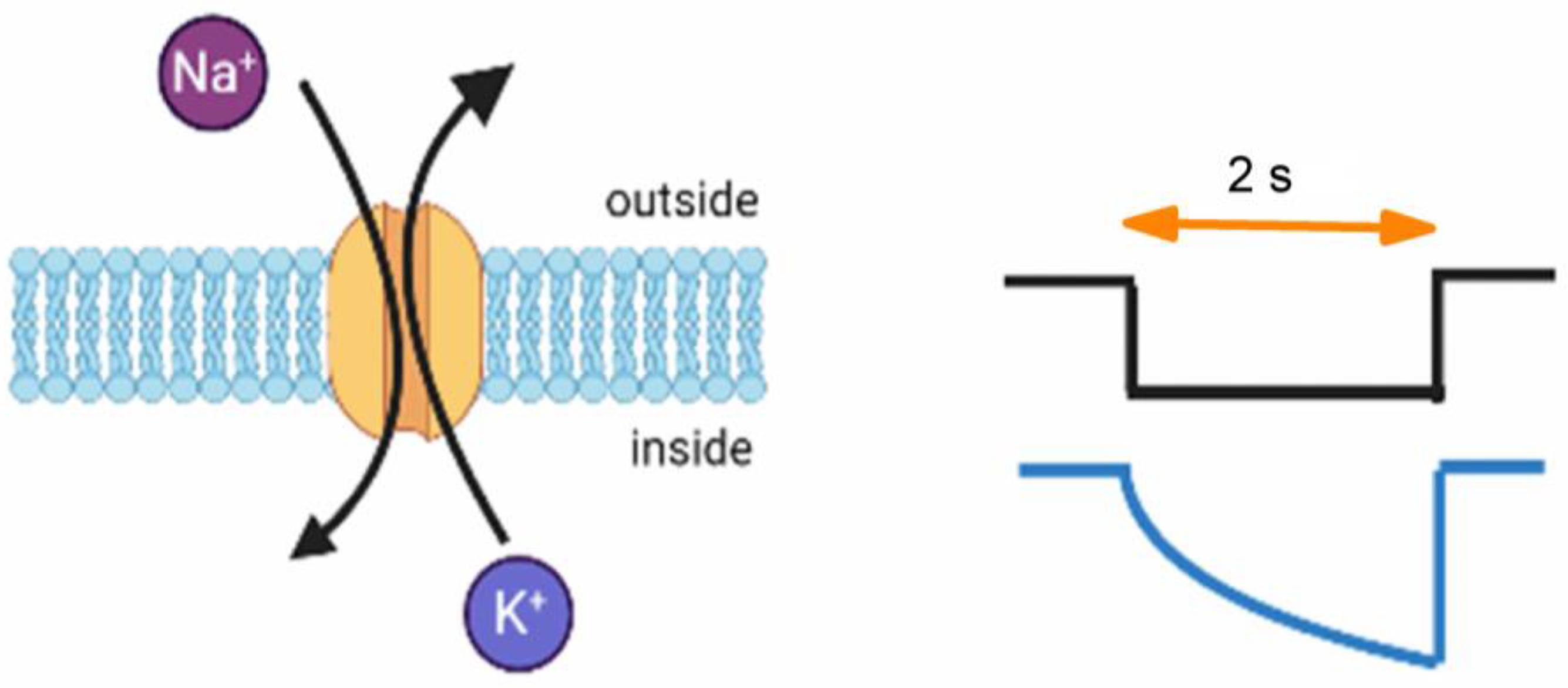Biomedicines 11 02177 g001