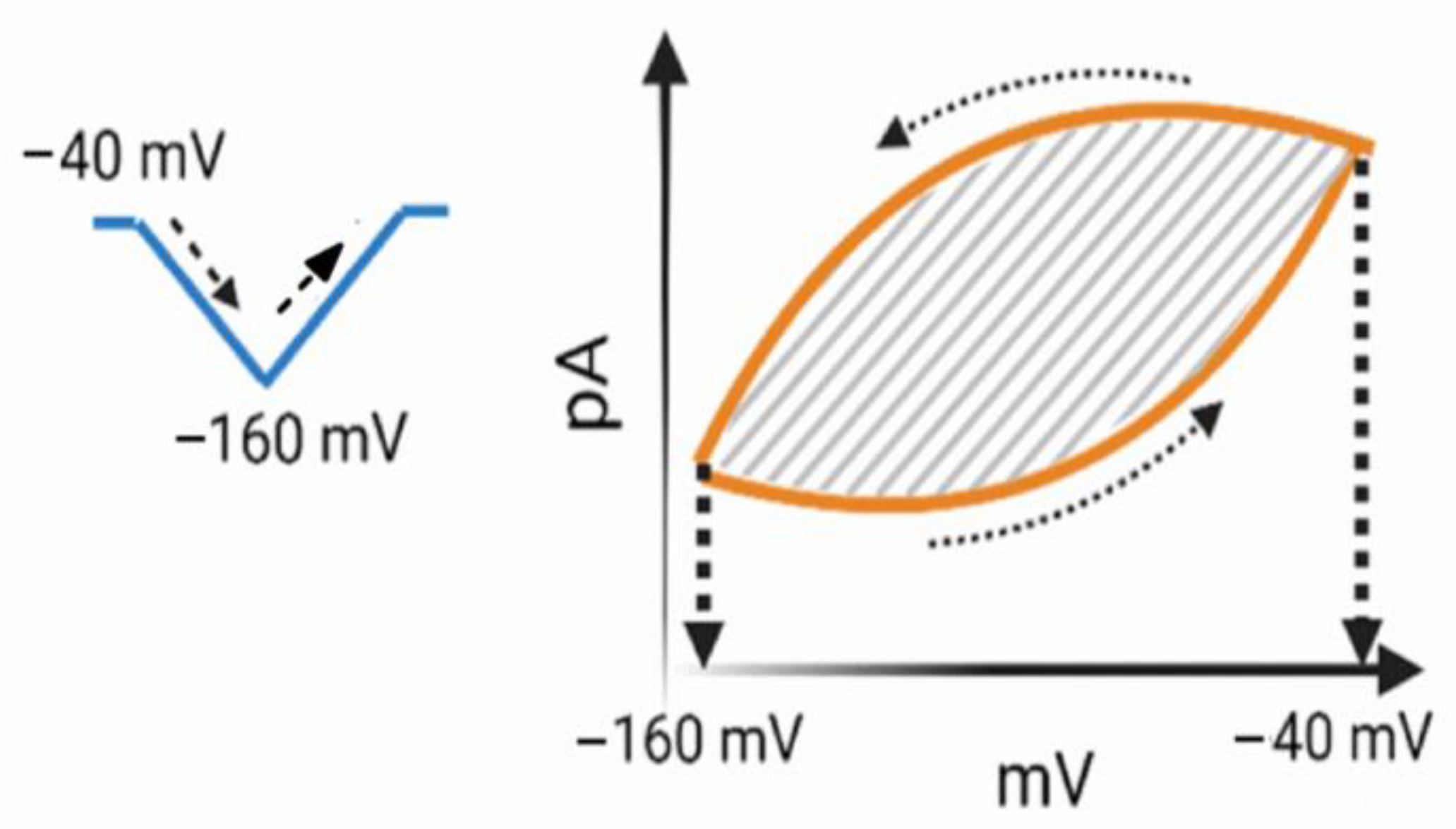 Biomedicines 11 02177 g002