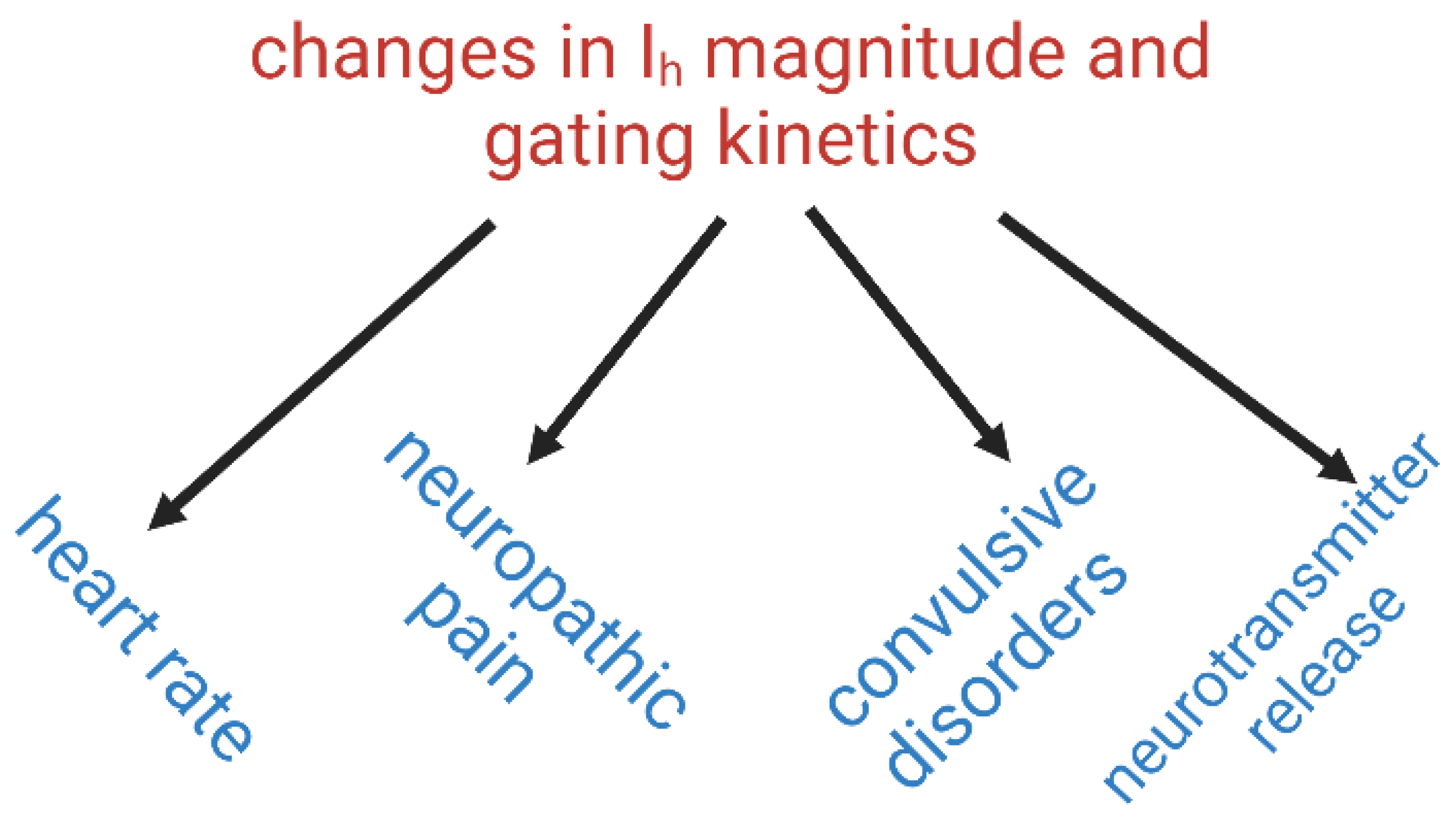 Biomedicines 11 02177 g003
